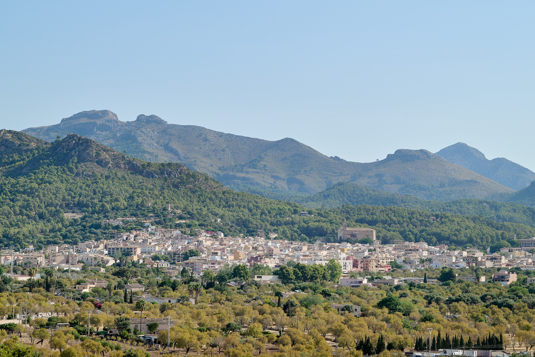  Country Estate with Equestrian Facilities in Port Andratx - 物件實景