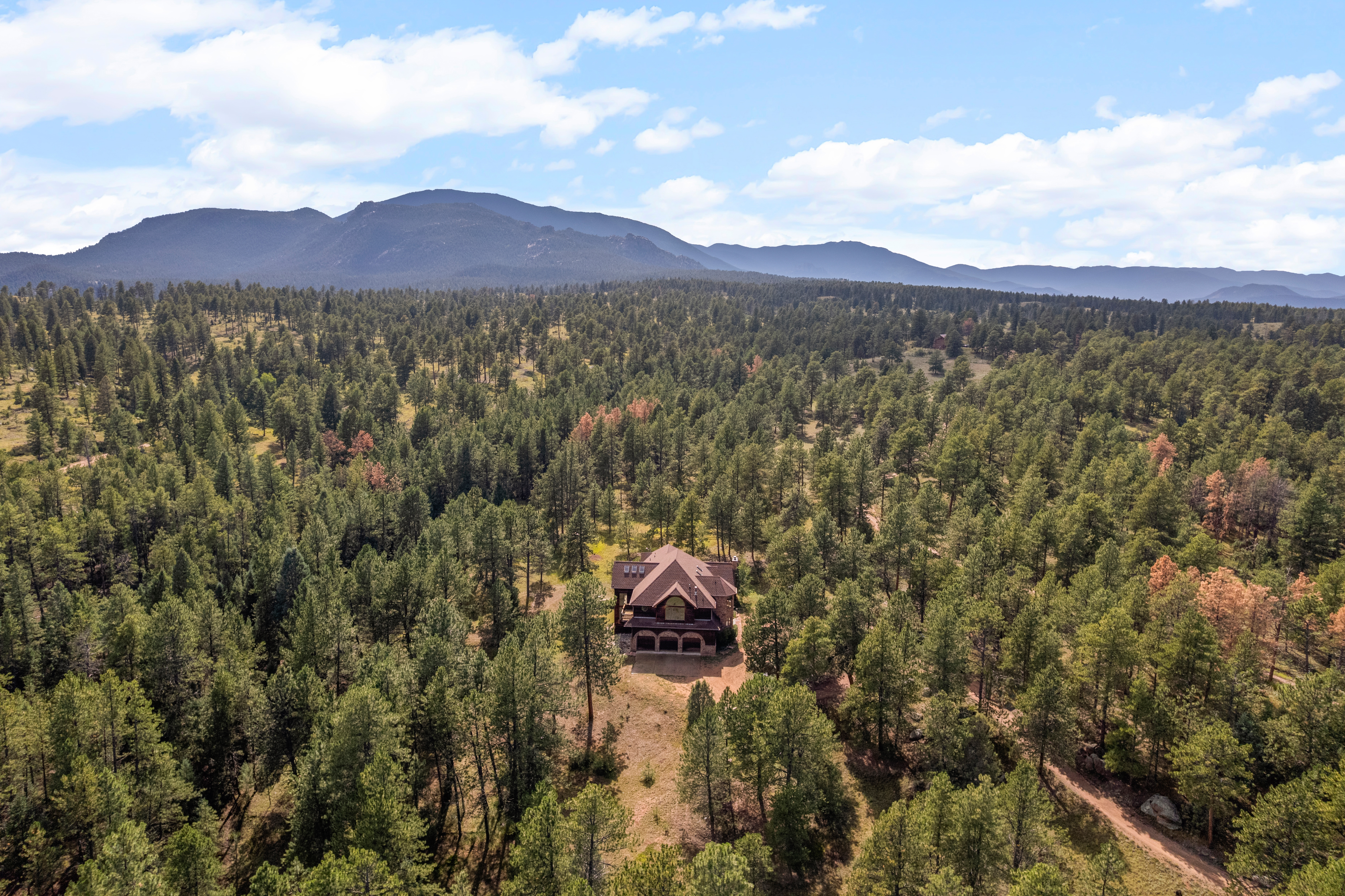  Perfect Blend of Space and Colorado Living That Backs to Pike National Forest - 物件實景