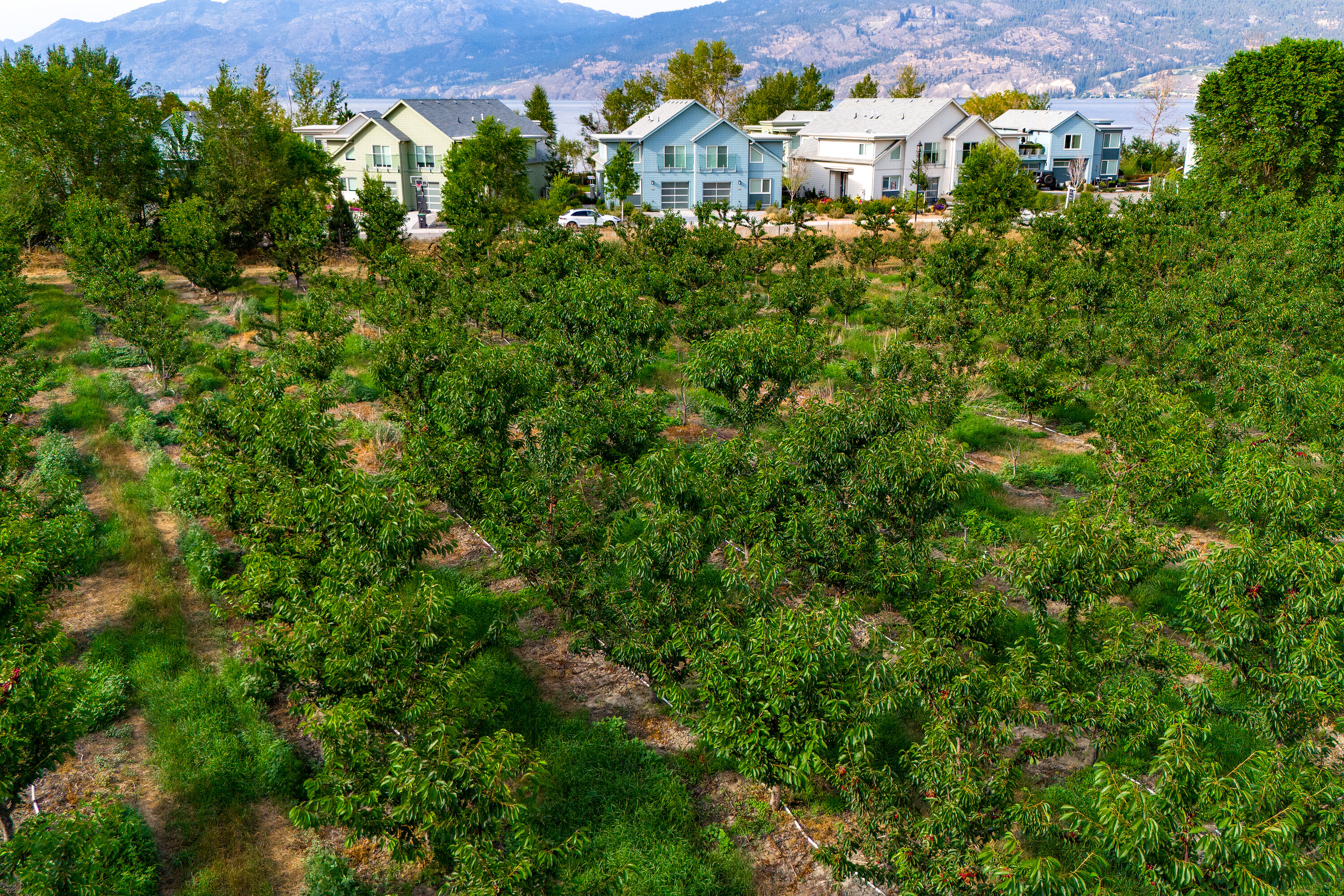  Cherry Orchard Foreclosure - 物件實景