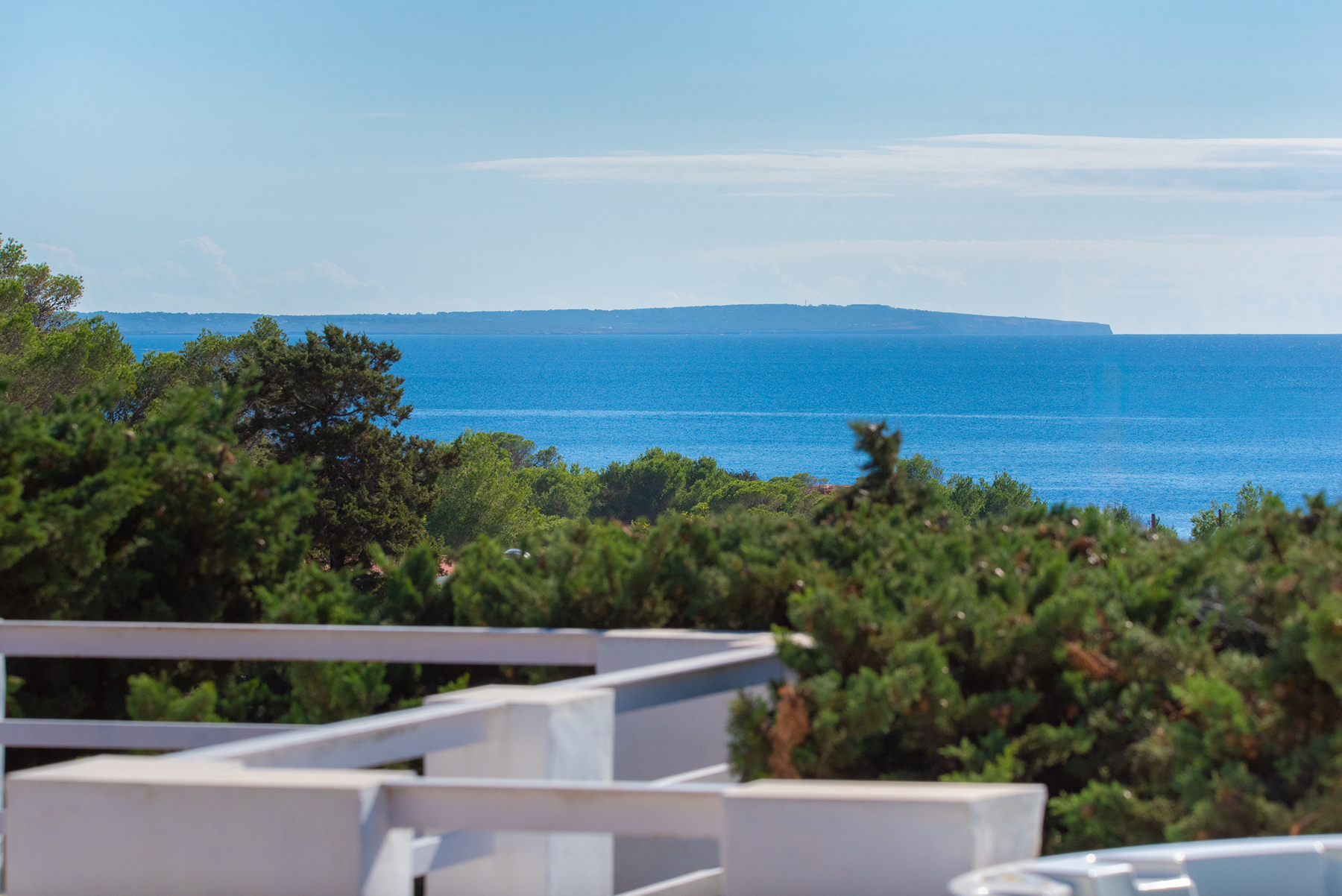  Ibizan Villa in Cala Jondal, Ibiza - 物件實景