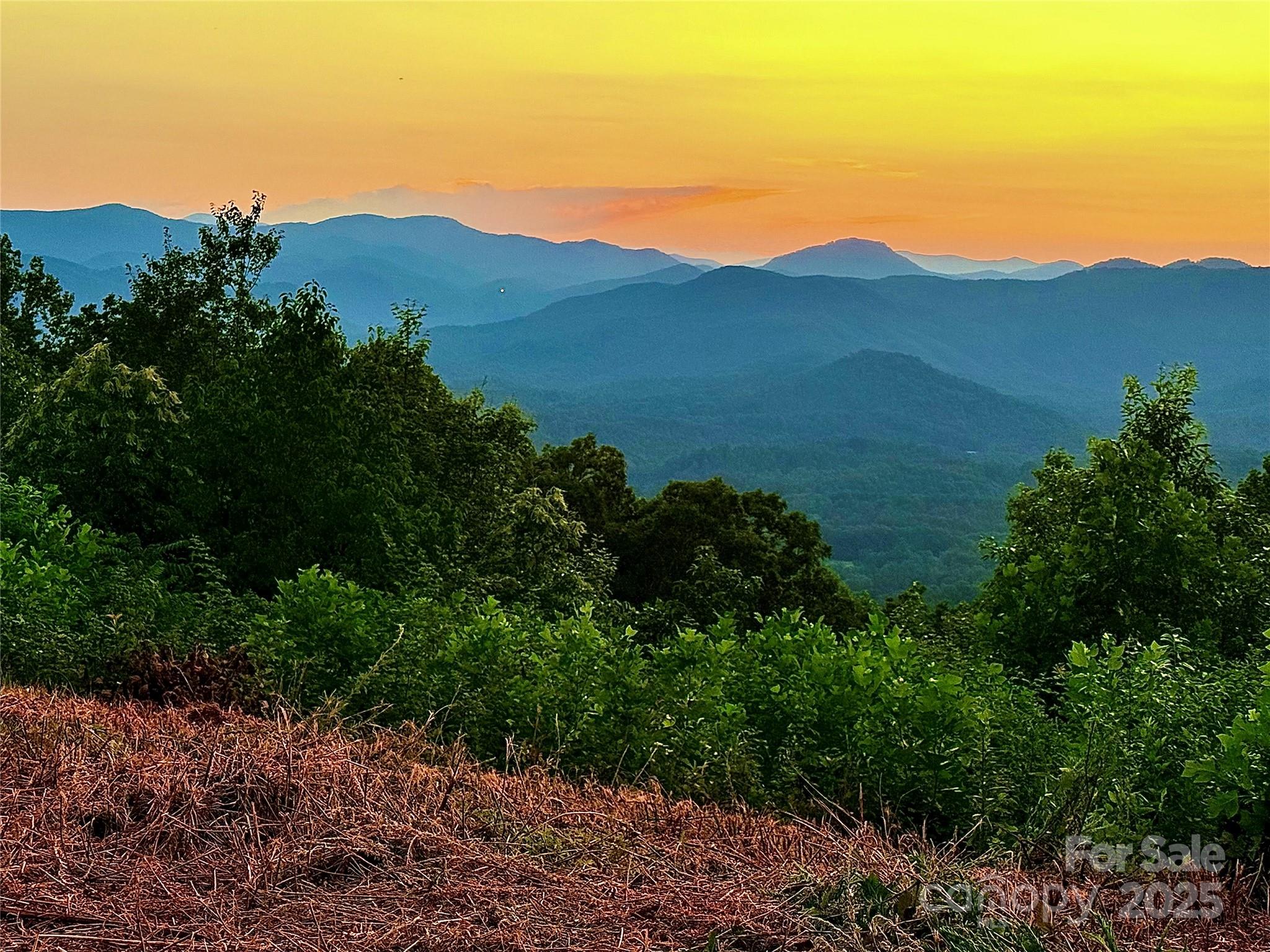 Union Mills, North Carolina, 28167, United States, ,Land,For Sale,2002557