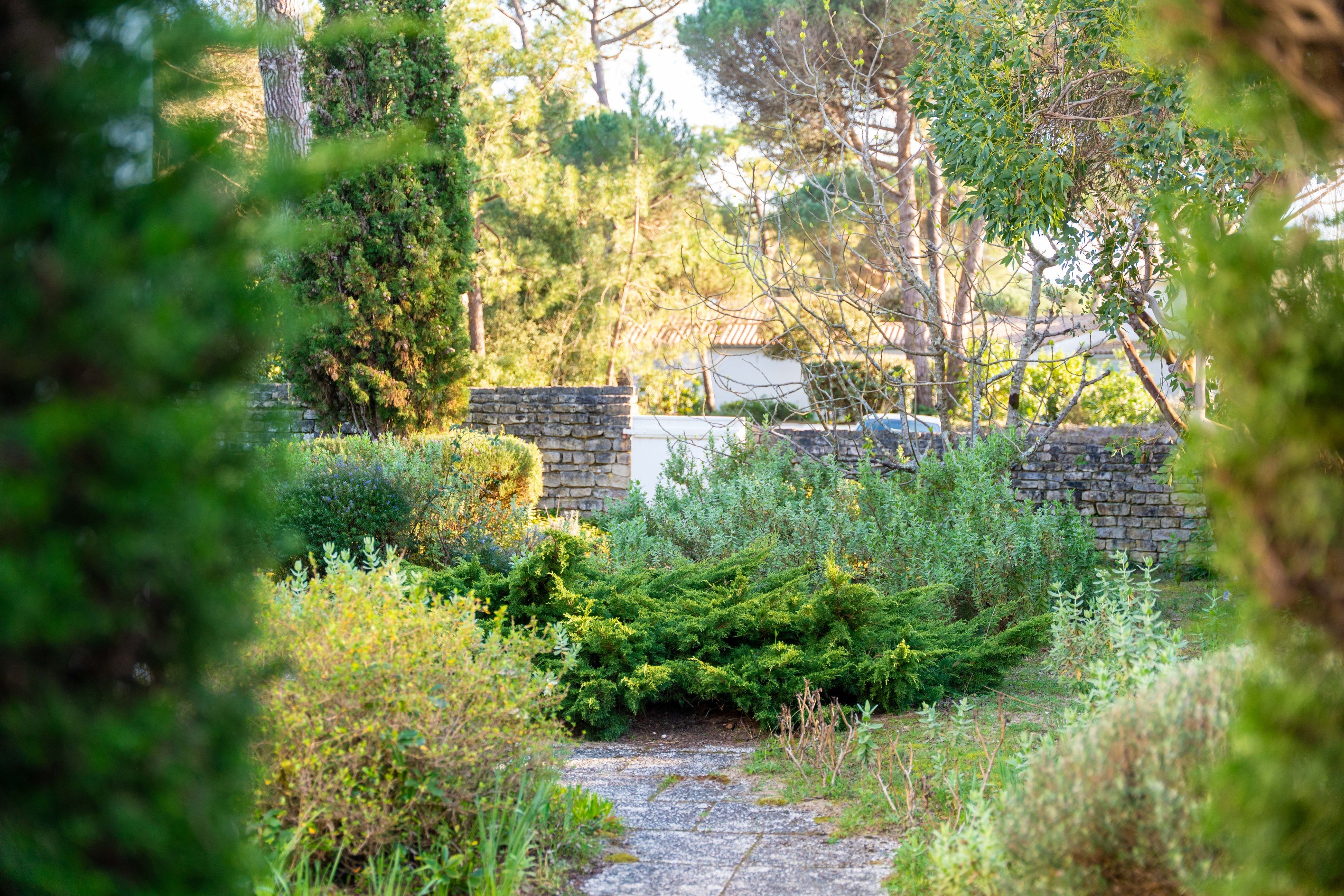  Île de Ré – Les Portes-en-Ré - Exceptional Property Nestled in a Pine Forest, J… - 物件實景