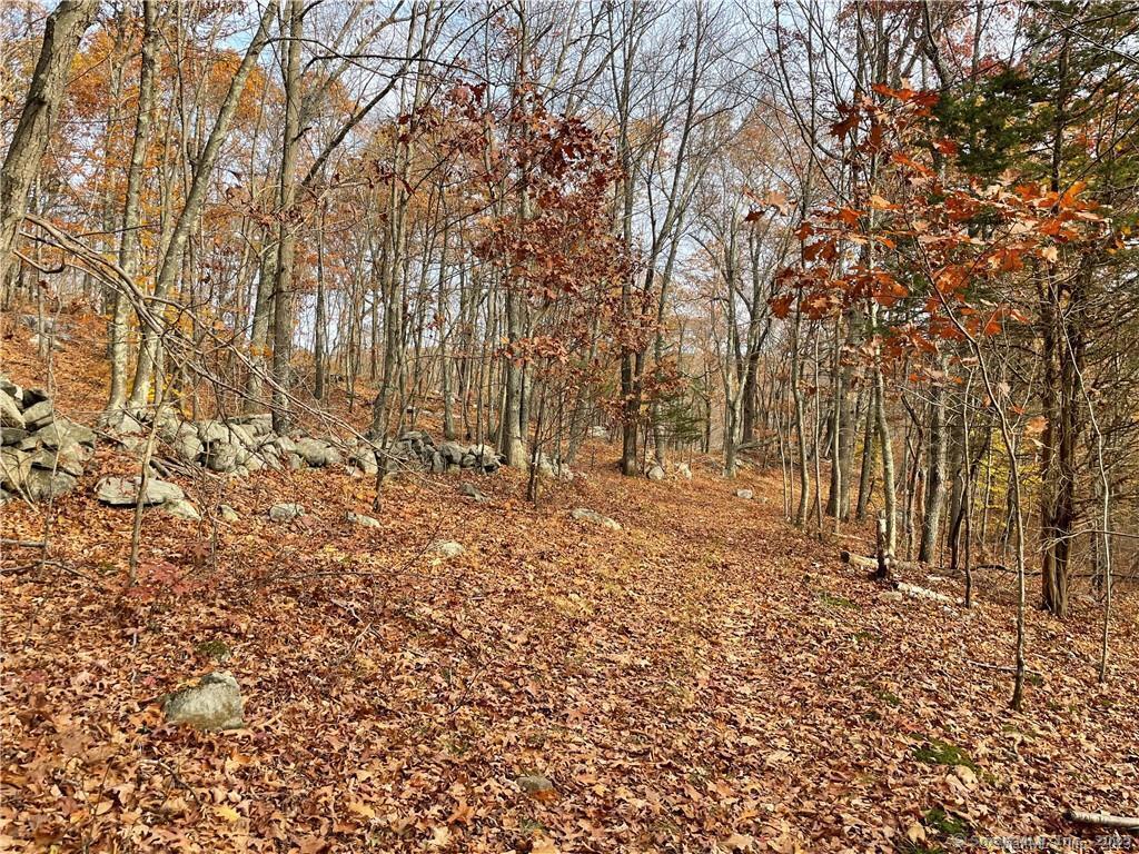 New Fairfield, Connecticut, 06812, United States, ,Residential,For Sale,1986113