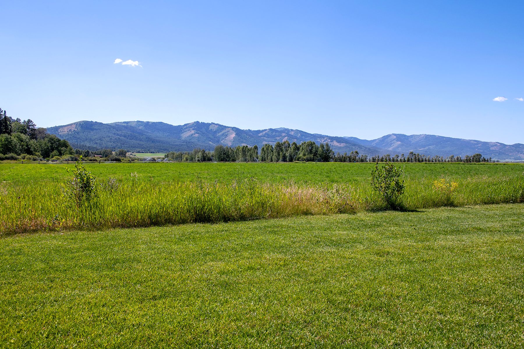  Smith Canyon Ranches Home - 物件實景
