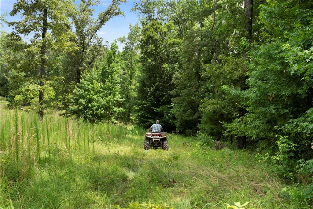 Rome, Georgia, 30165, United States, ,Land,For Sale,1892024