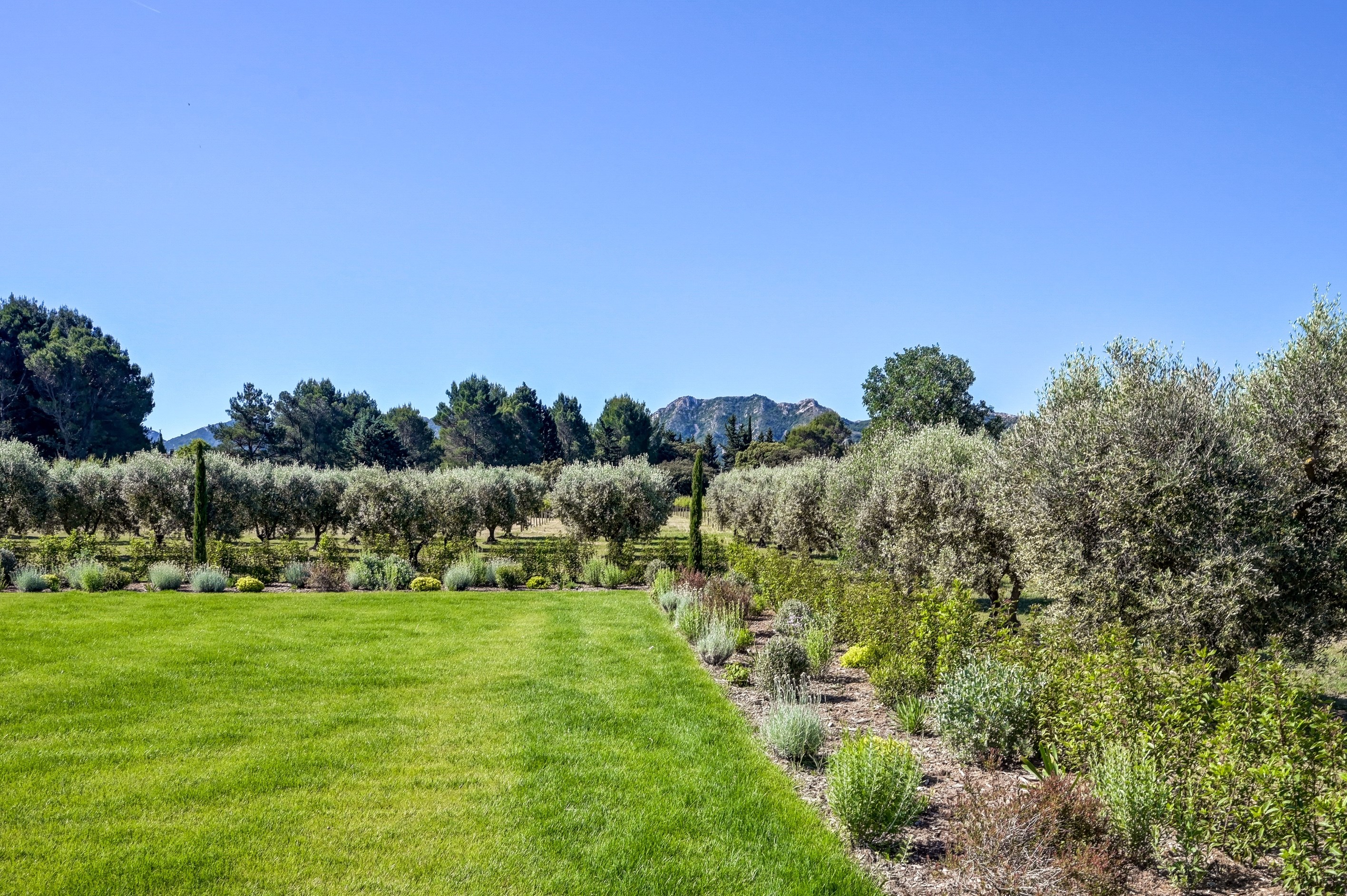  Renovated stone farmhouse with stunning views of the Alpilles, tennis court and… - 物件實景