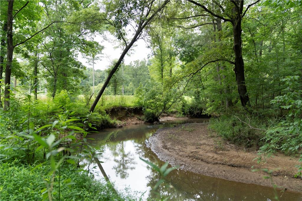 Rome, Georgia, 30165, United States, ,Land,For Sale,1892024