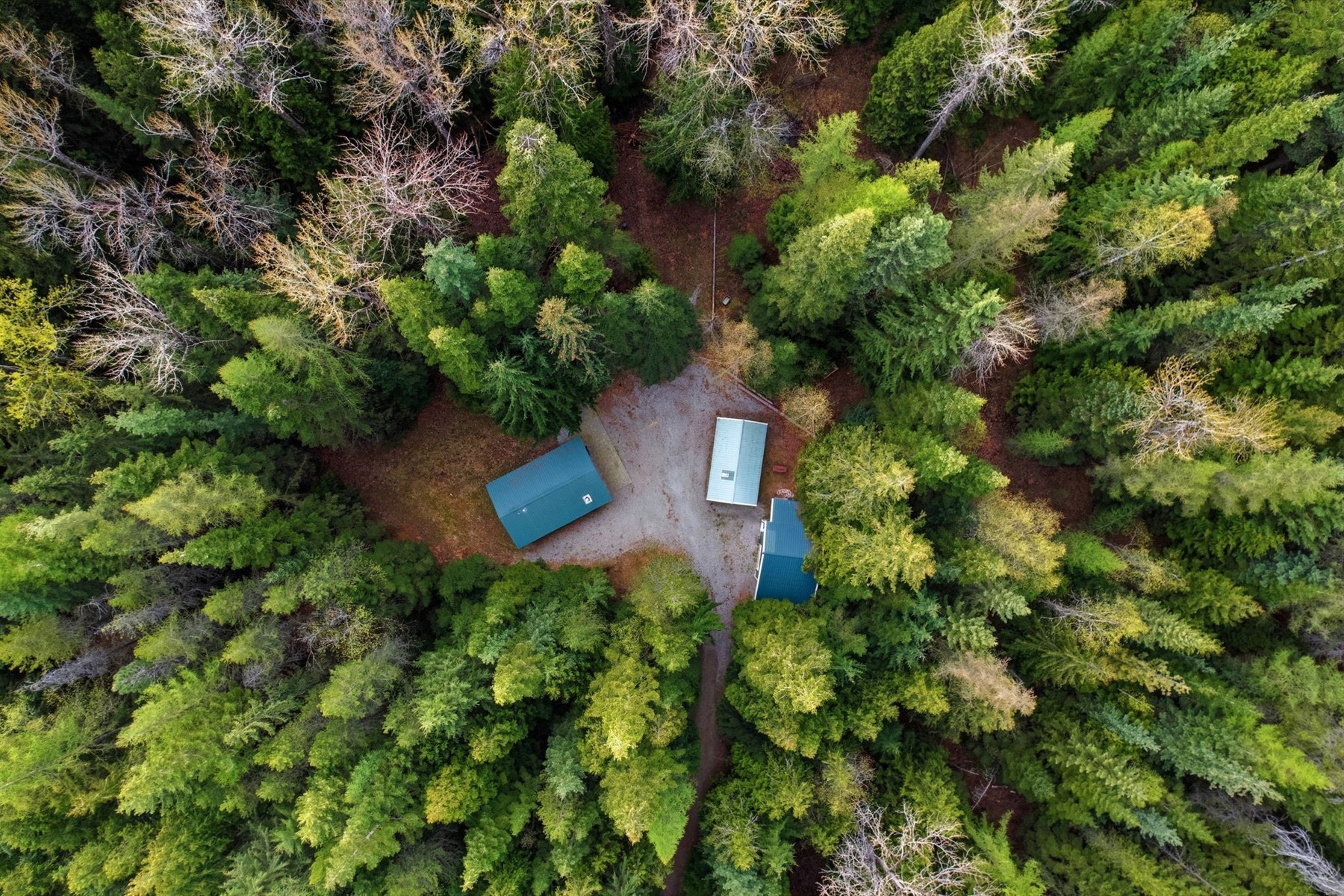  354 Fall Creek Road - 物件實景