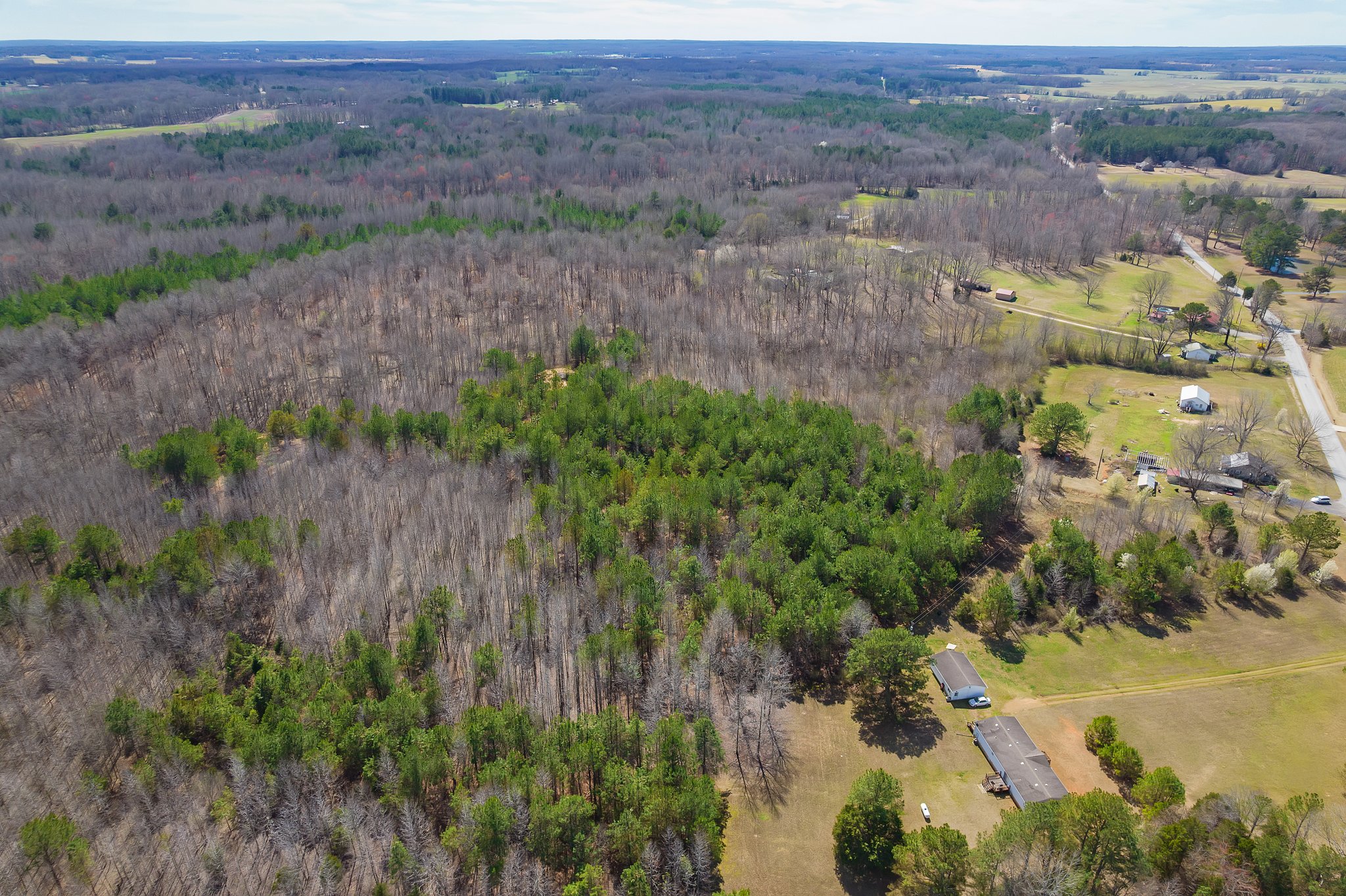 Beech Bluff, Tennessee, 38313, United States, 5 Bedrooms Bedrooms, ,3 BathroomsBathrooms,Residential,For Sale,1743753