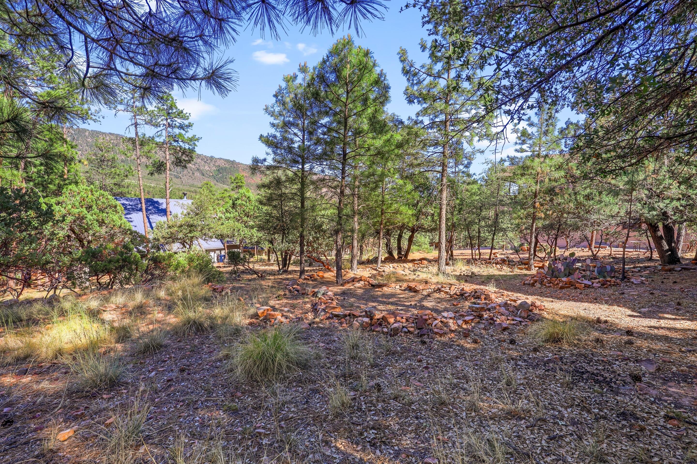 Pine, Arizona, 85544, United States, 3 Bedrooms Bedrooms, ,1 BathroomBathrooms,Residential,For Sale,1874773