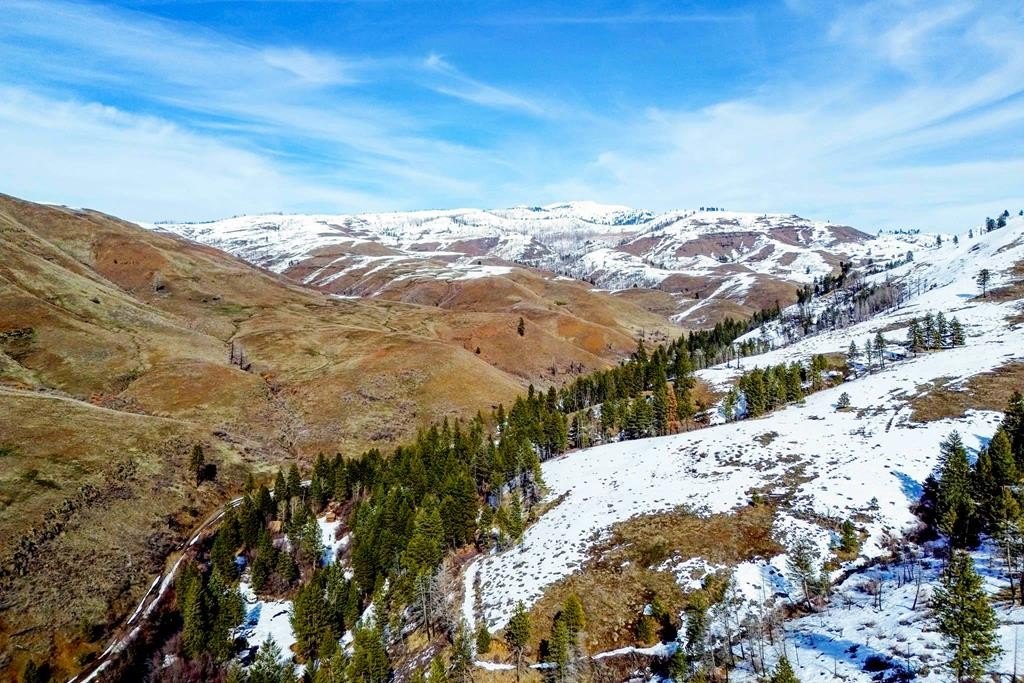 Council, Idaho, 83612, United States, ,Residential,For Sale,1980255