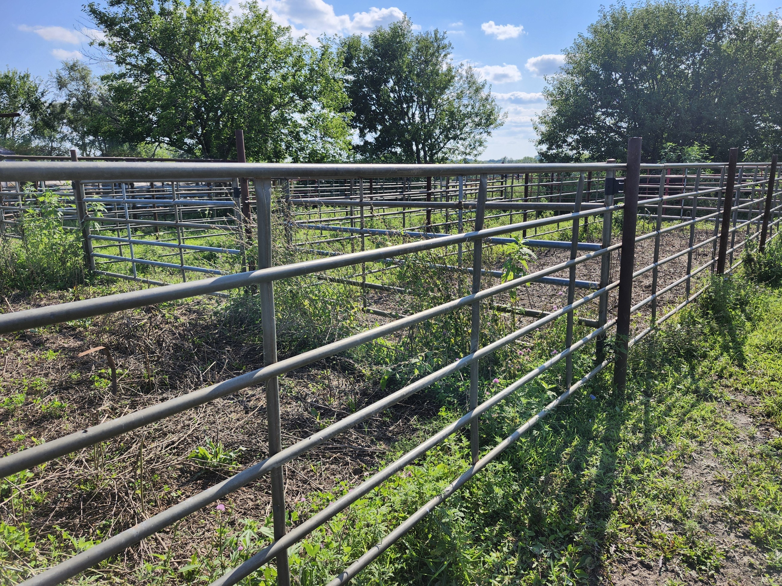 Princeton, Missouri, 64673, United States, ,Land,For Sale,2001559