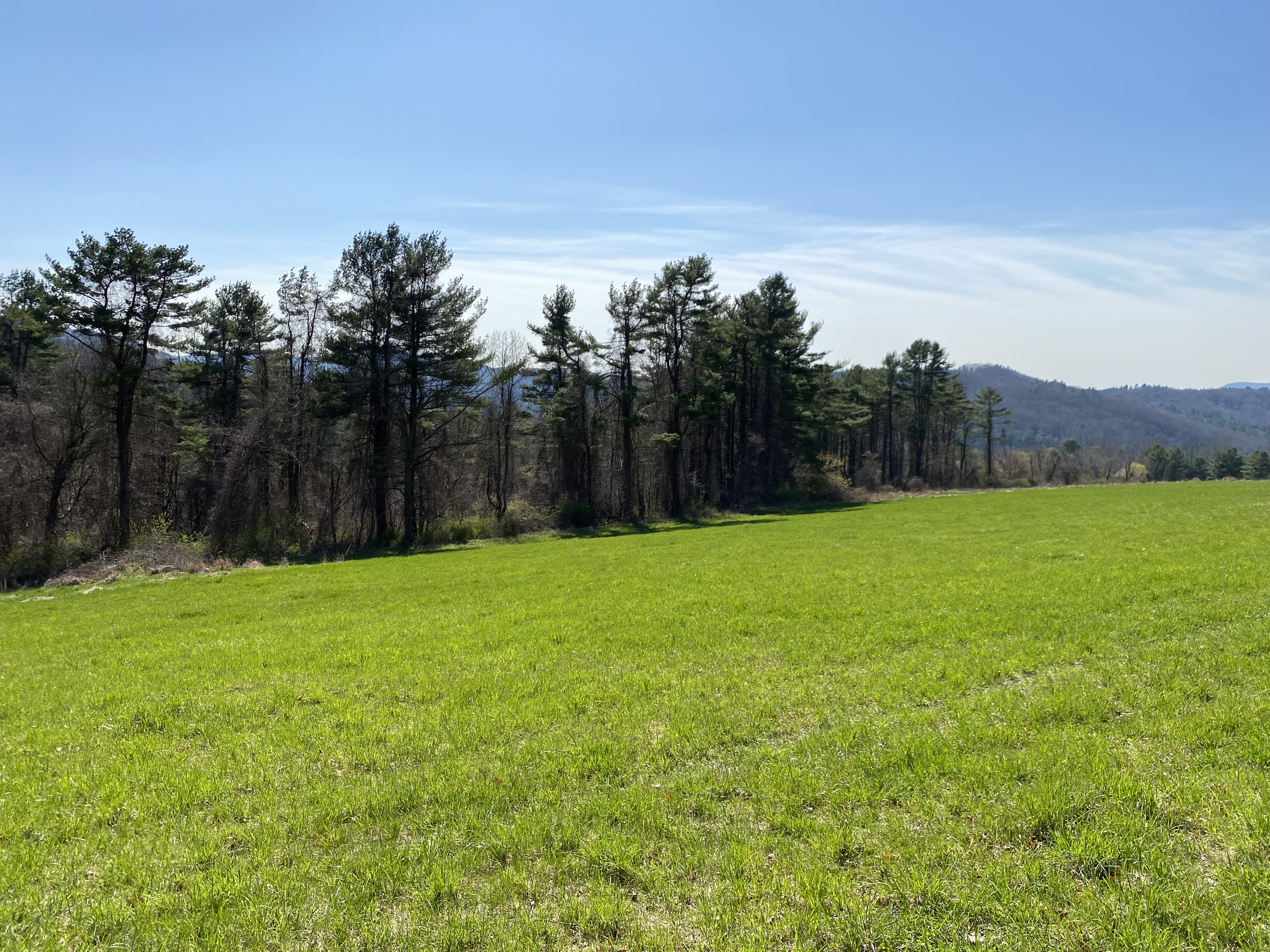  198-2 Beebe Hill Road - 物件實景