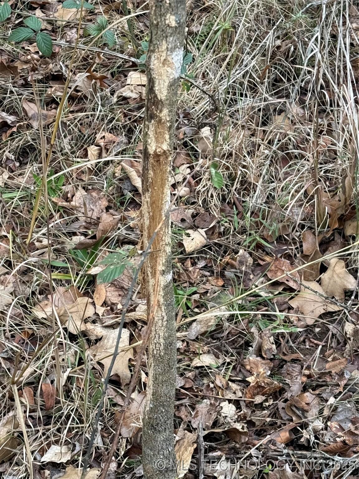 Fort Gibson, Oklahoma, 74434, United States, ,Residential,For Sale,2006417