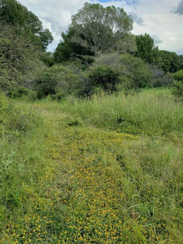 CONOCIDO NOMBRE DE DIOS DURANGO, Nombre de Dios, Durango, 34840, Mexico, 1 Bedroom Bedrooms, ,Residential,For Sale,CONOCIDO NOMBRE DE DIOS DURANGO,1627562