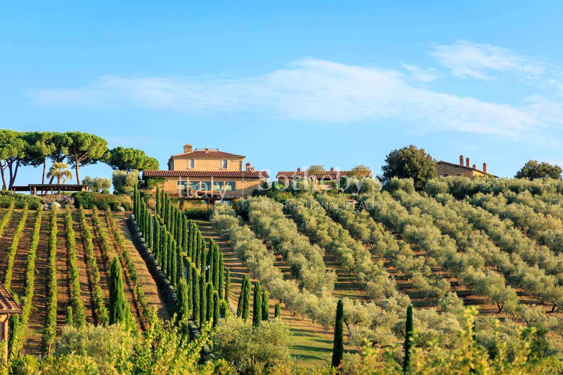  Incomparable Estate in the Tuscan countryside - 物件實景