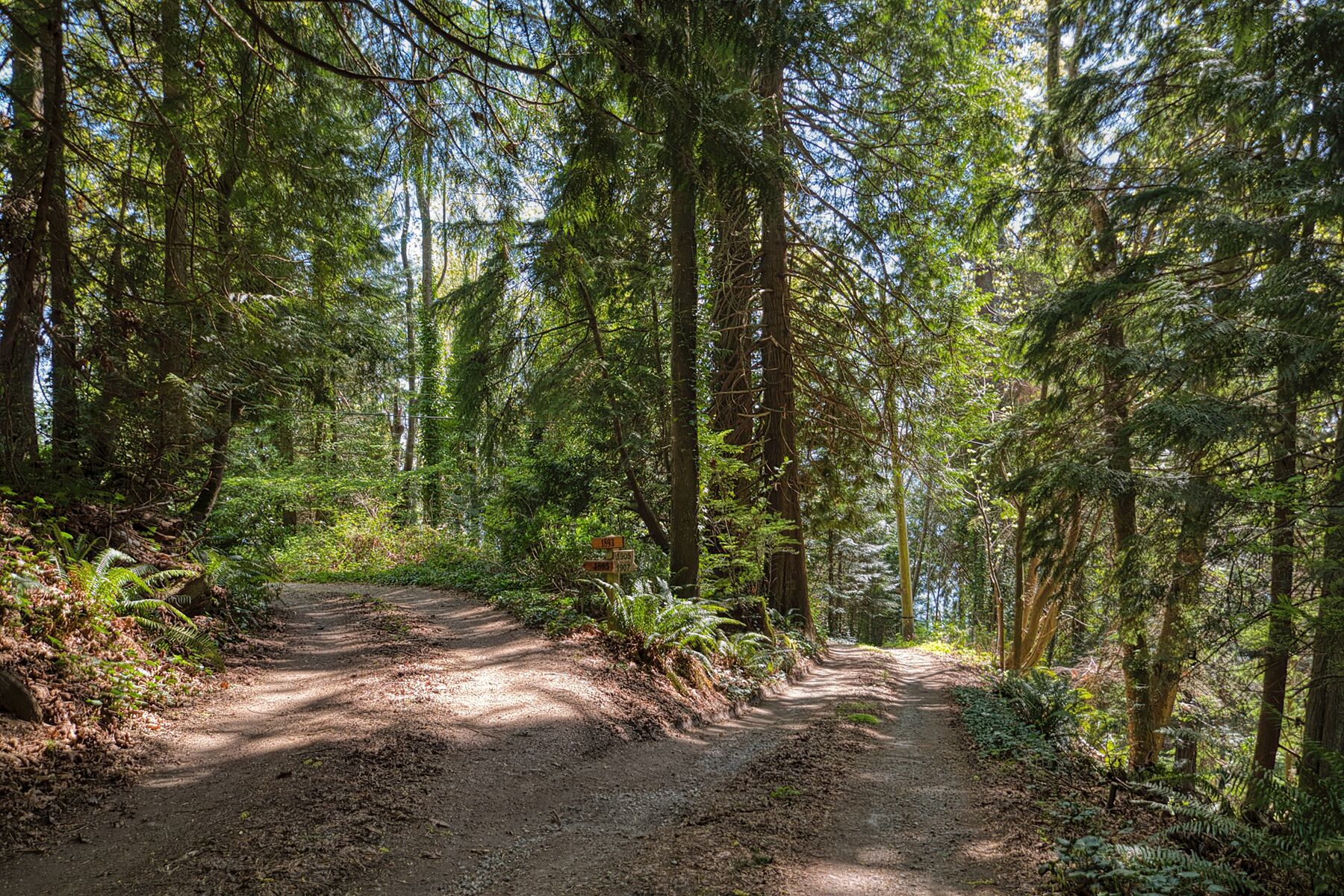  Roberts Creek, Sunshine Coast - 物件實景