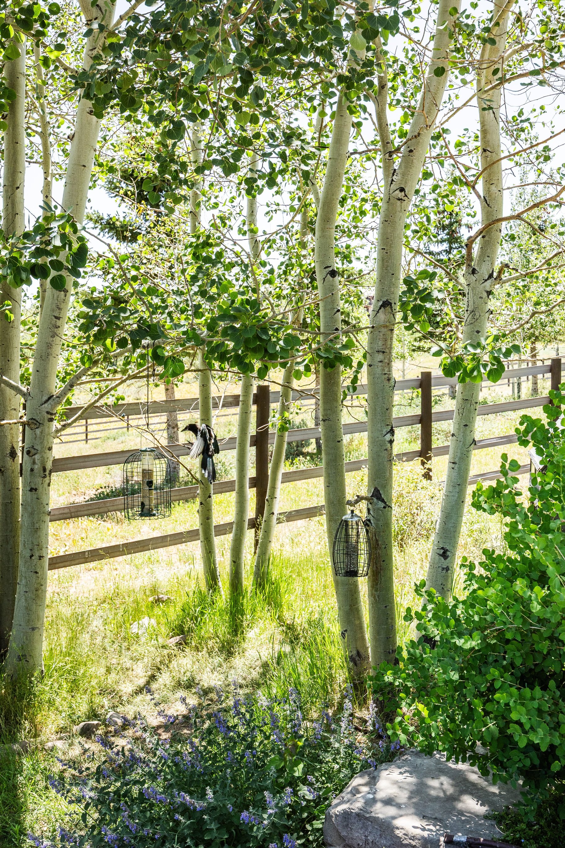  Mountain Luxury Meets the Ultimate Park City Equestrian Lifestyle - 物件實景