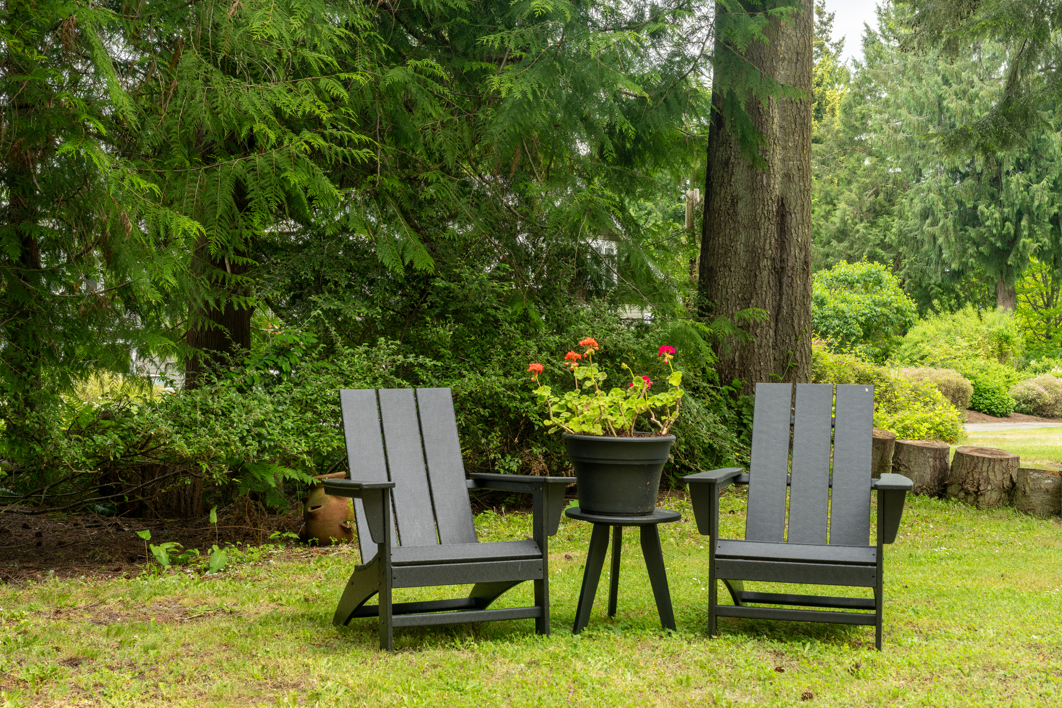  15104 Sunrise Dr NE, Bainbridge Island, WA 98110 - 物件實景