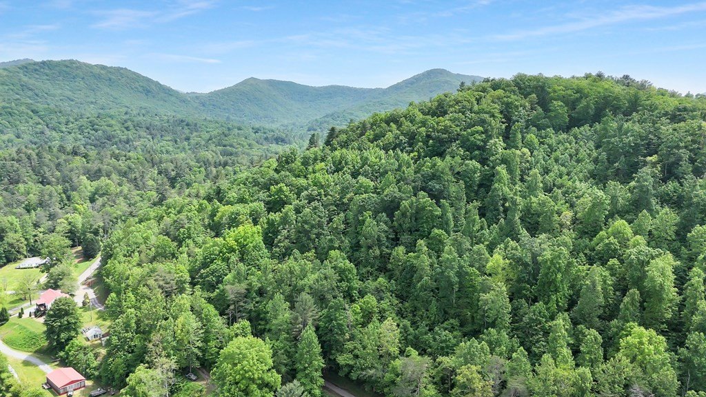 Blairsville, Georgia, 30512, United States, ,Residential,For Sale,1824066
