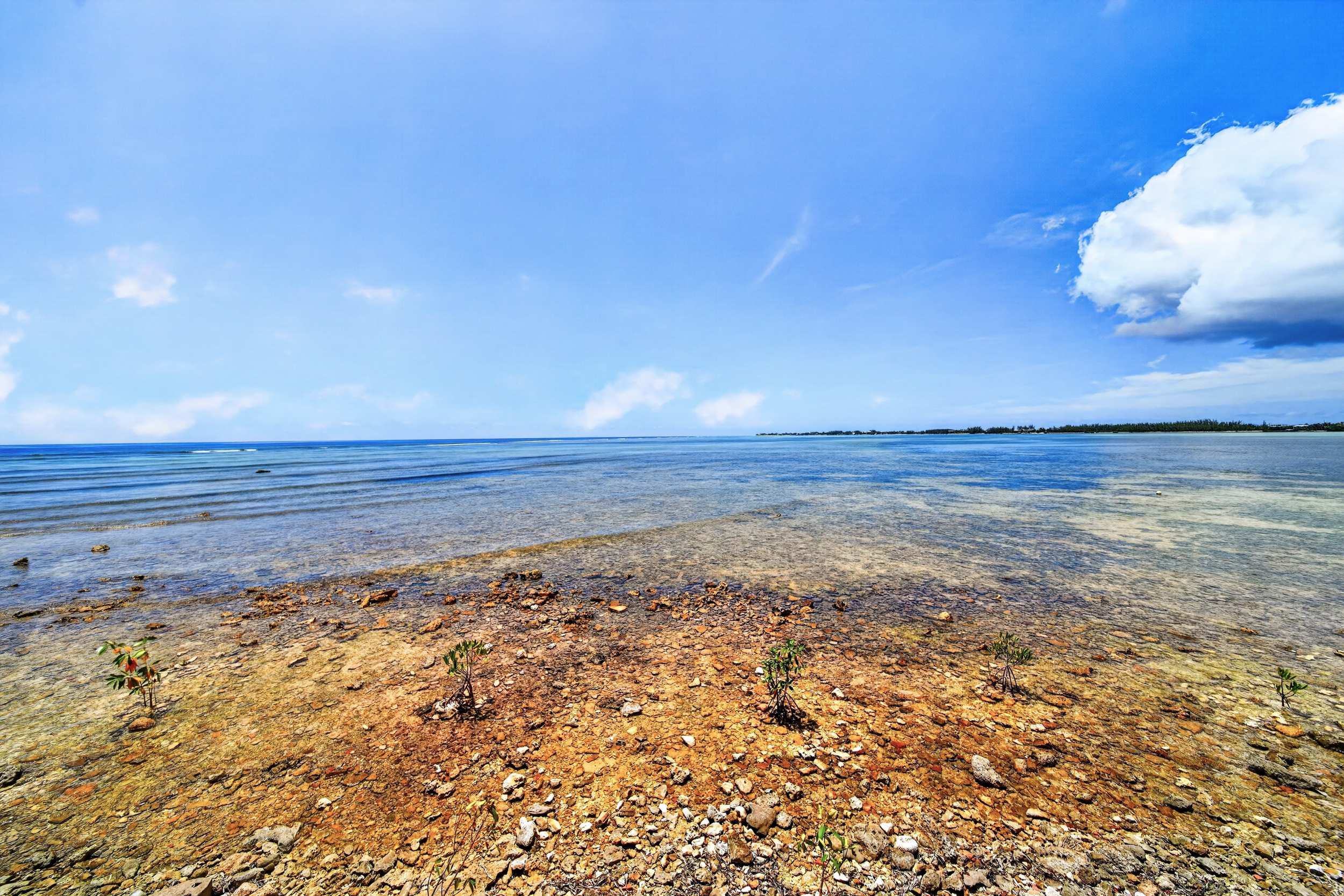  Palacades Villa 1 on Prospect Point - 物件實景