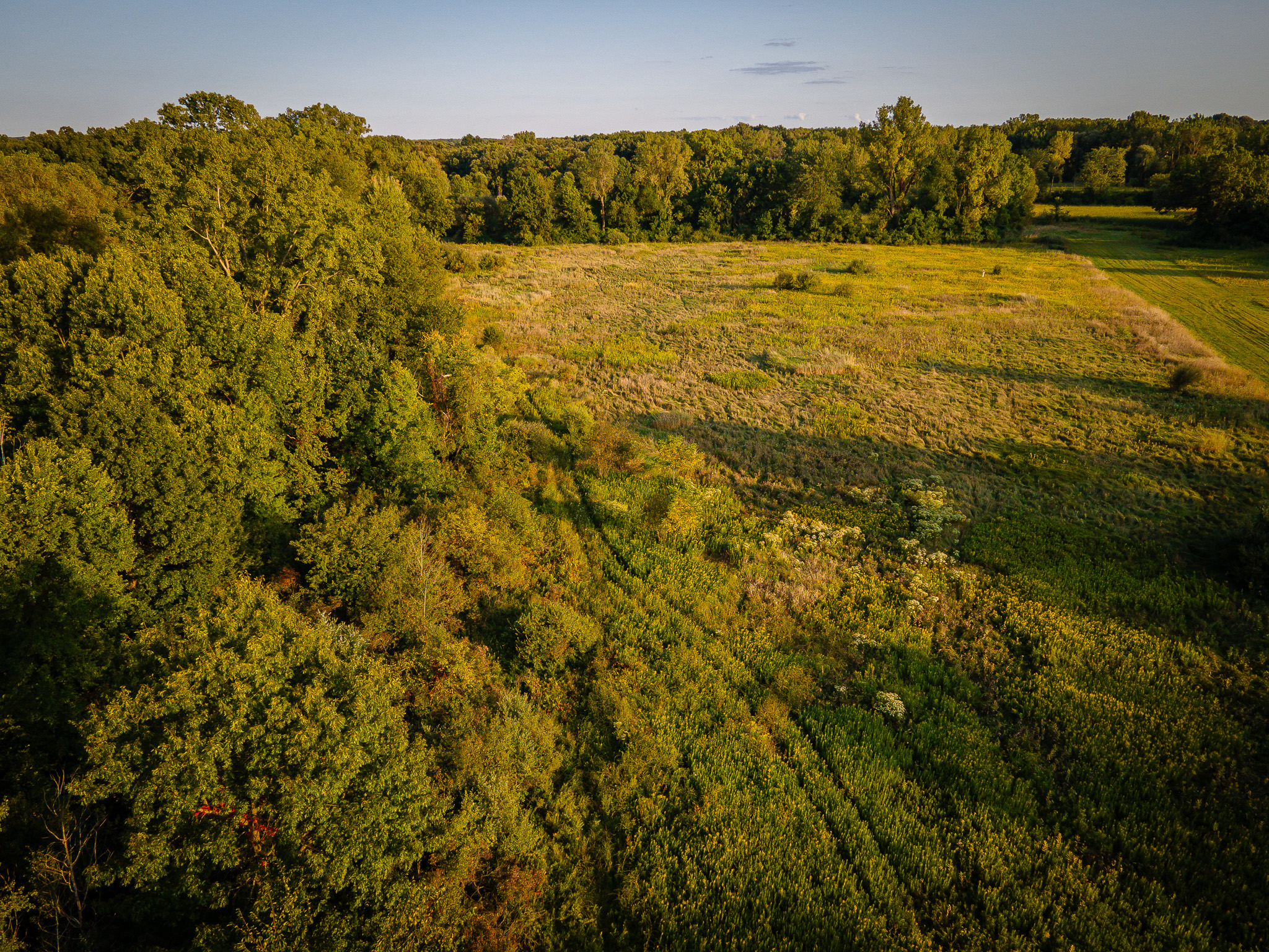 Jackson, Michigan, 49201, United States, 4 Bedrooms Bedrooms, ,2 BathroomsBathrooms,Residential,For Sale,1981022