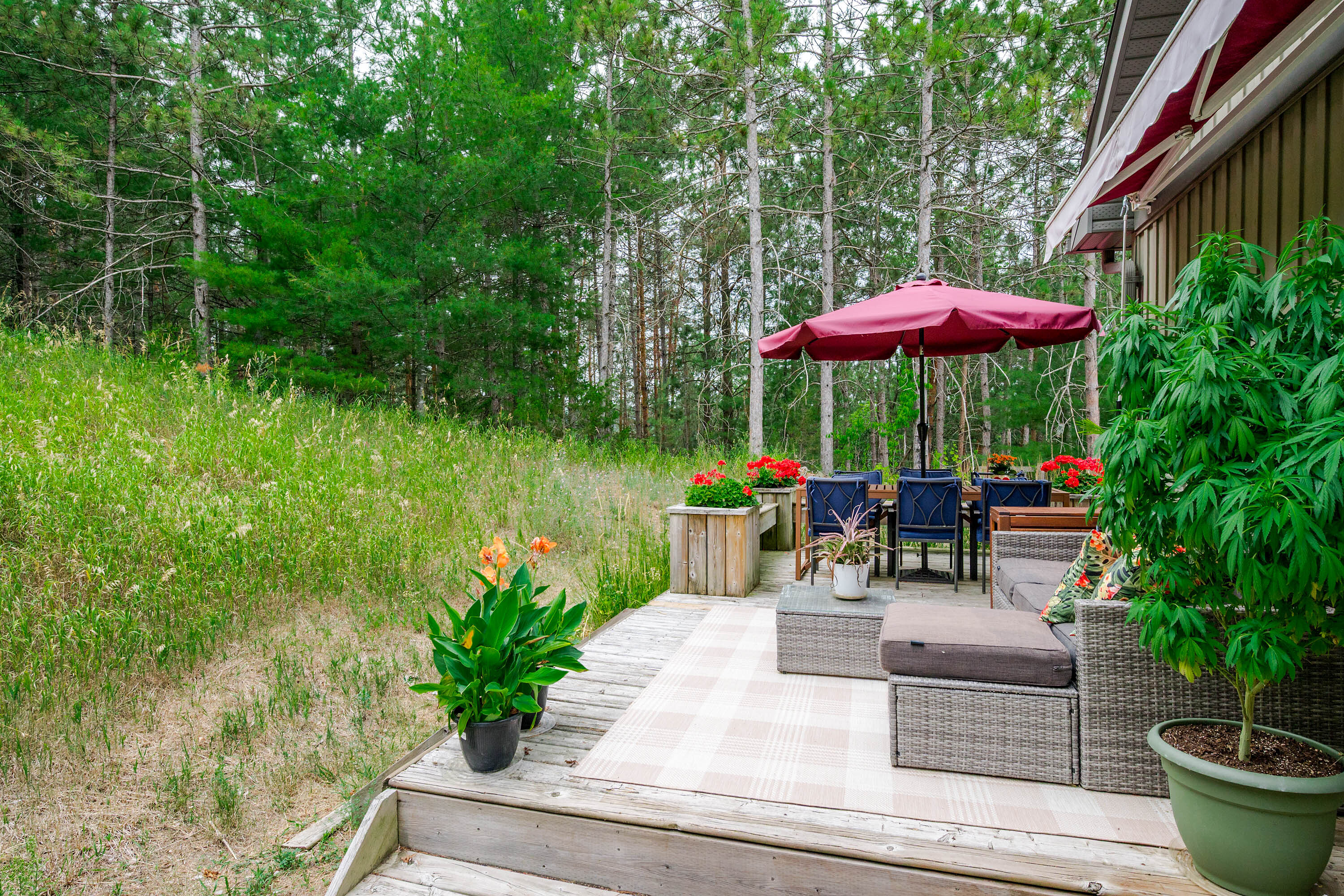  Magic of Warkworth - 物件實景