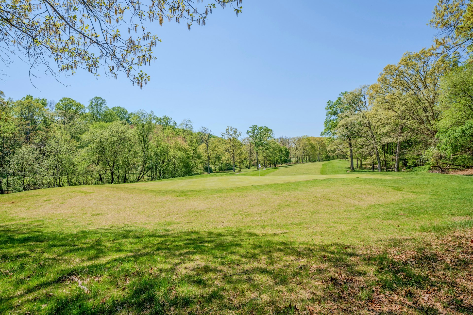  11310 Harborside Cluster, Reston, VA 20191 - 物件實景