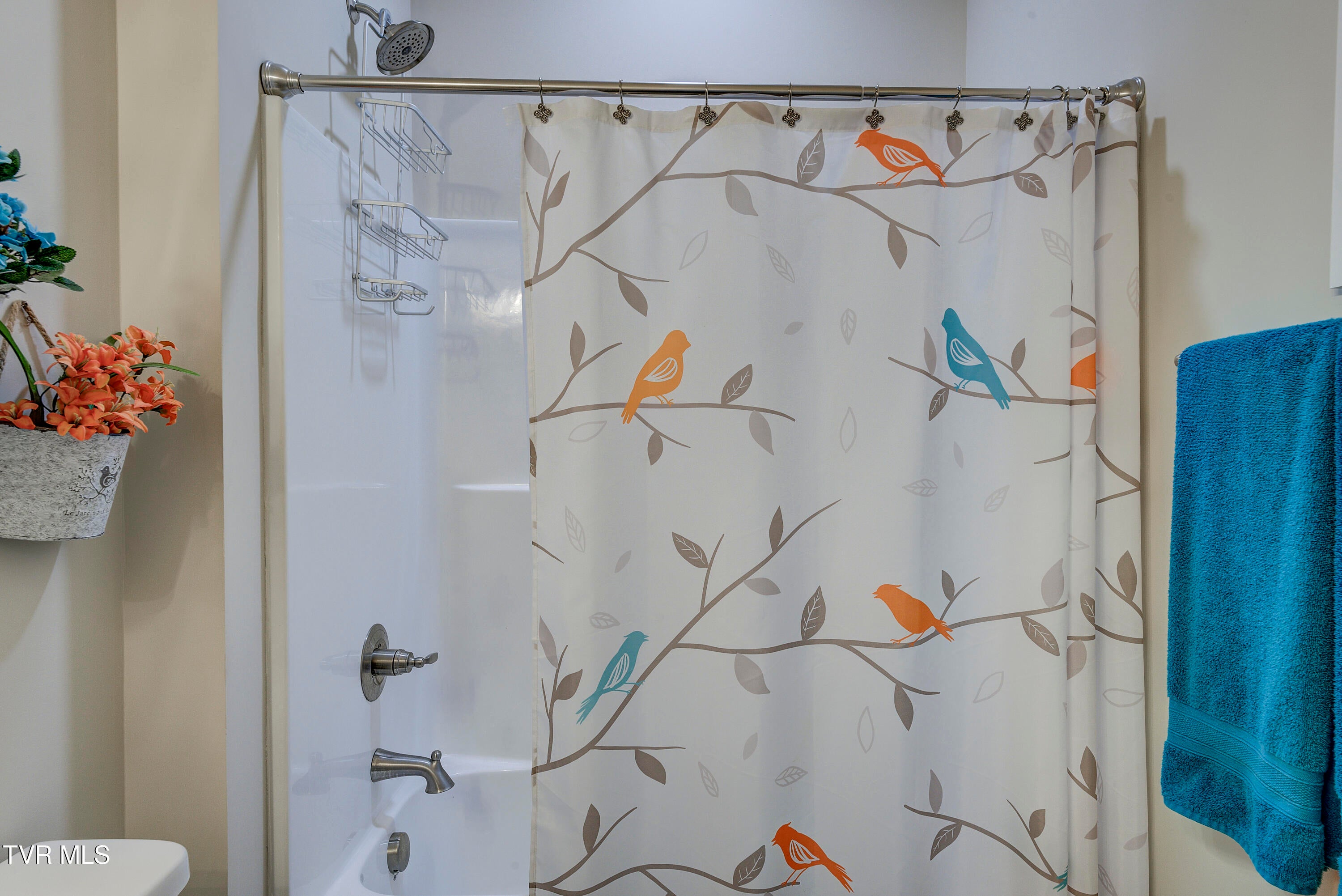 Elizabethton, Tennessee, 37643, United States, 3 Bedrooms Bedrooms, ,2 BathroomsBathrooms,Residential,For Sale,1925509