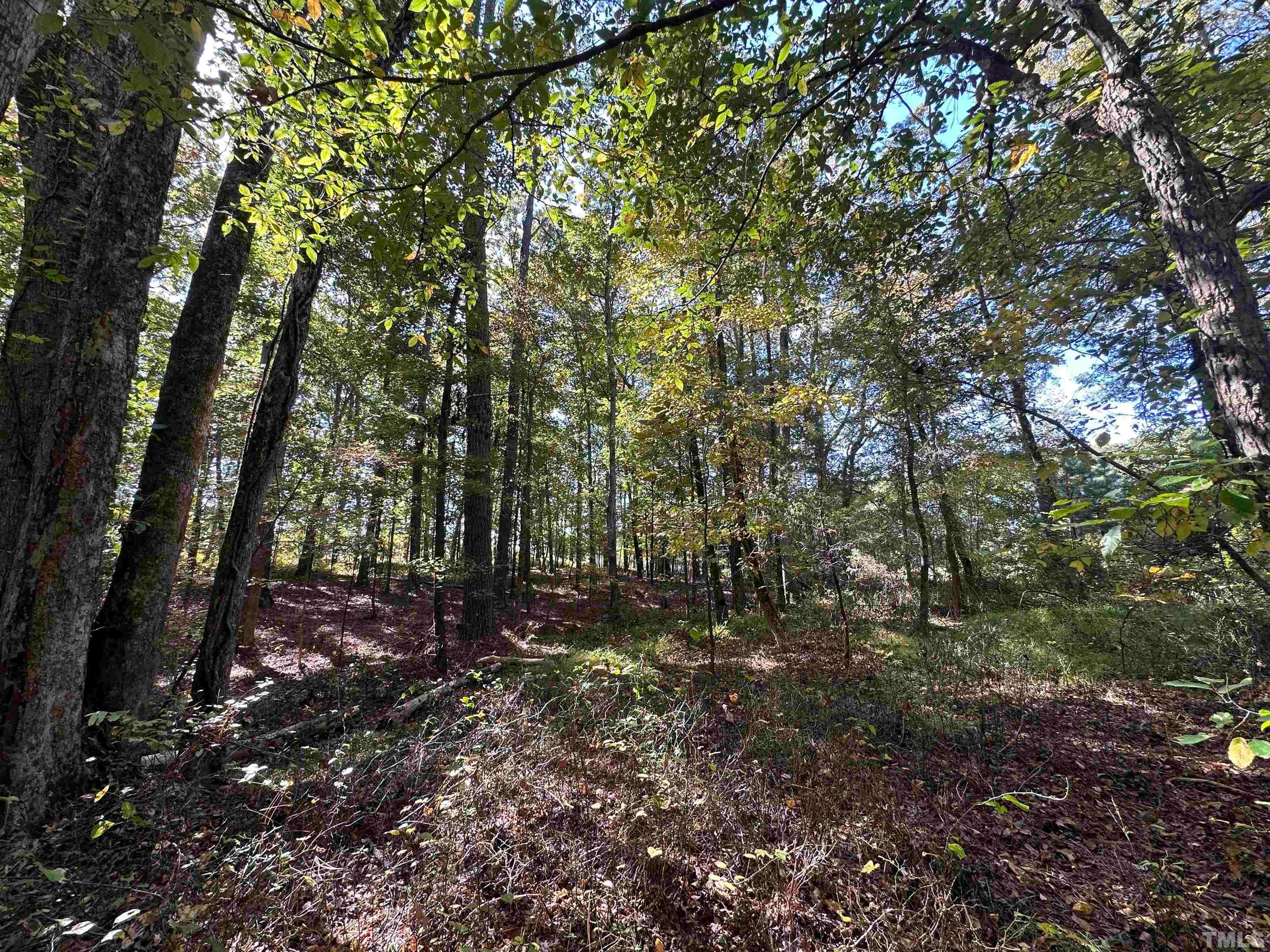 8017 Farrington Mill Road, Chapel Hill, North Carolina, 27517, United States, ,Land,For Sale,8017 Farrington Mill Road,1623508