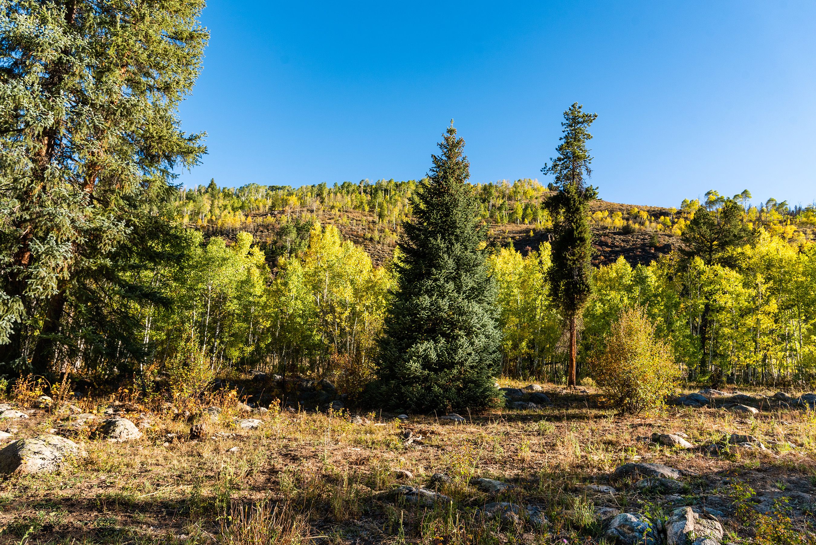  2450 North Fork Road, Meredith, CO, 81642 - 物件實景