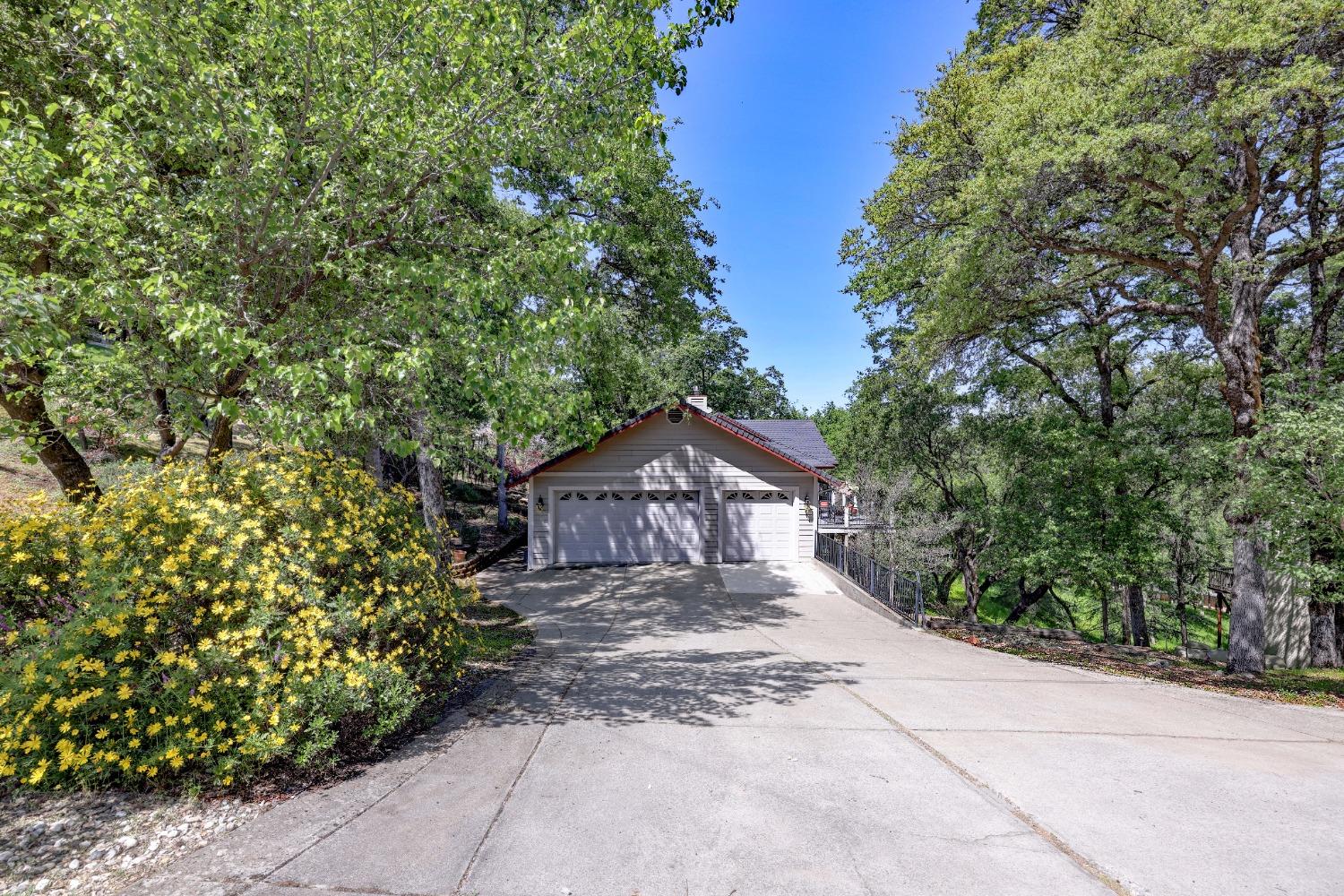 Penn Valley, California, 95946, United States, 3 Bedrooms Bedrooms, ,3 BathroomsBathrooms,Residential,For Sale,1784644