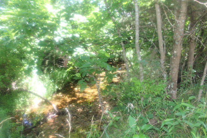 Polk, Missouri, 65727, United States, ,Land,For Sale,1980569