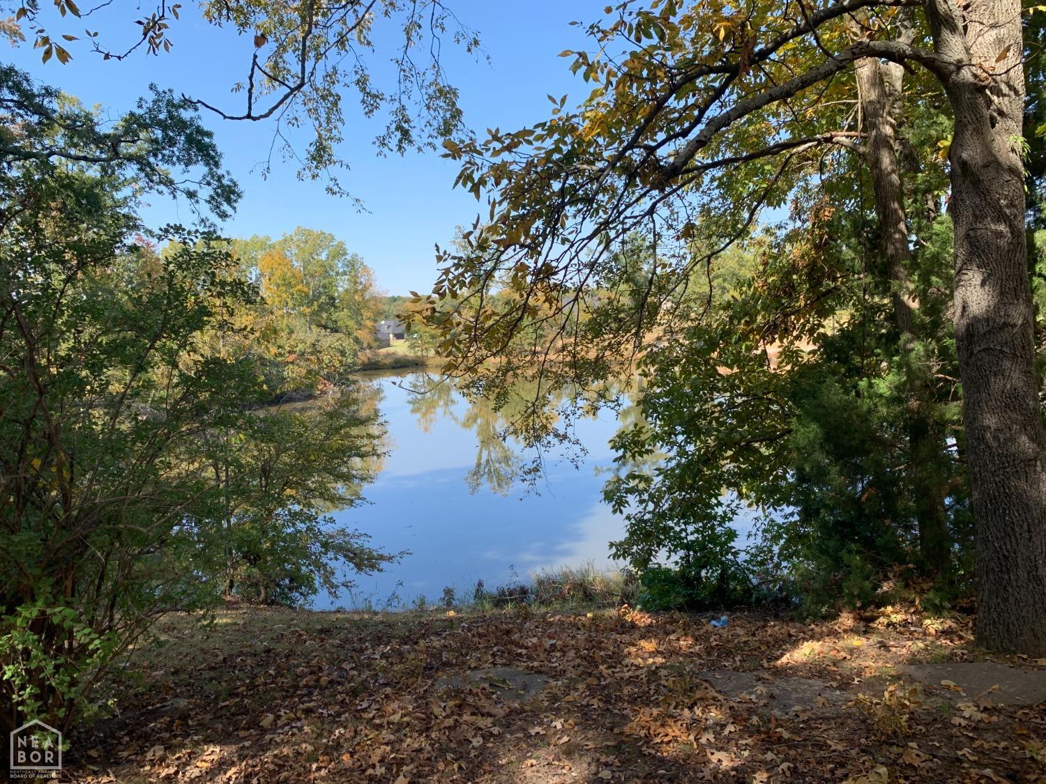 Wynne, Arkansas, 72396, United States, 4 Bedrooms Bedrooms, ,5 BathroomsBathrooms,Residential,For Sale,1979958