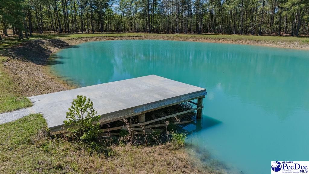 1315 Hill Harrell Road, Effingham, South Carolina, 29541-3179, United States, ,Land,For Sale,1315 Hill Harrell Road,1501598