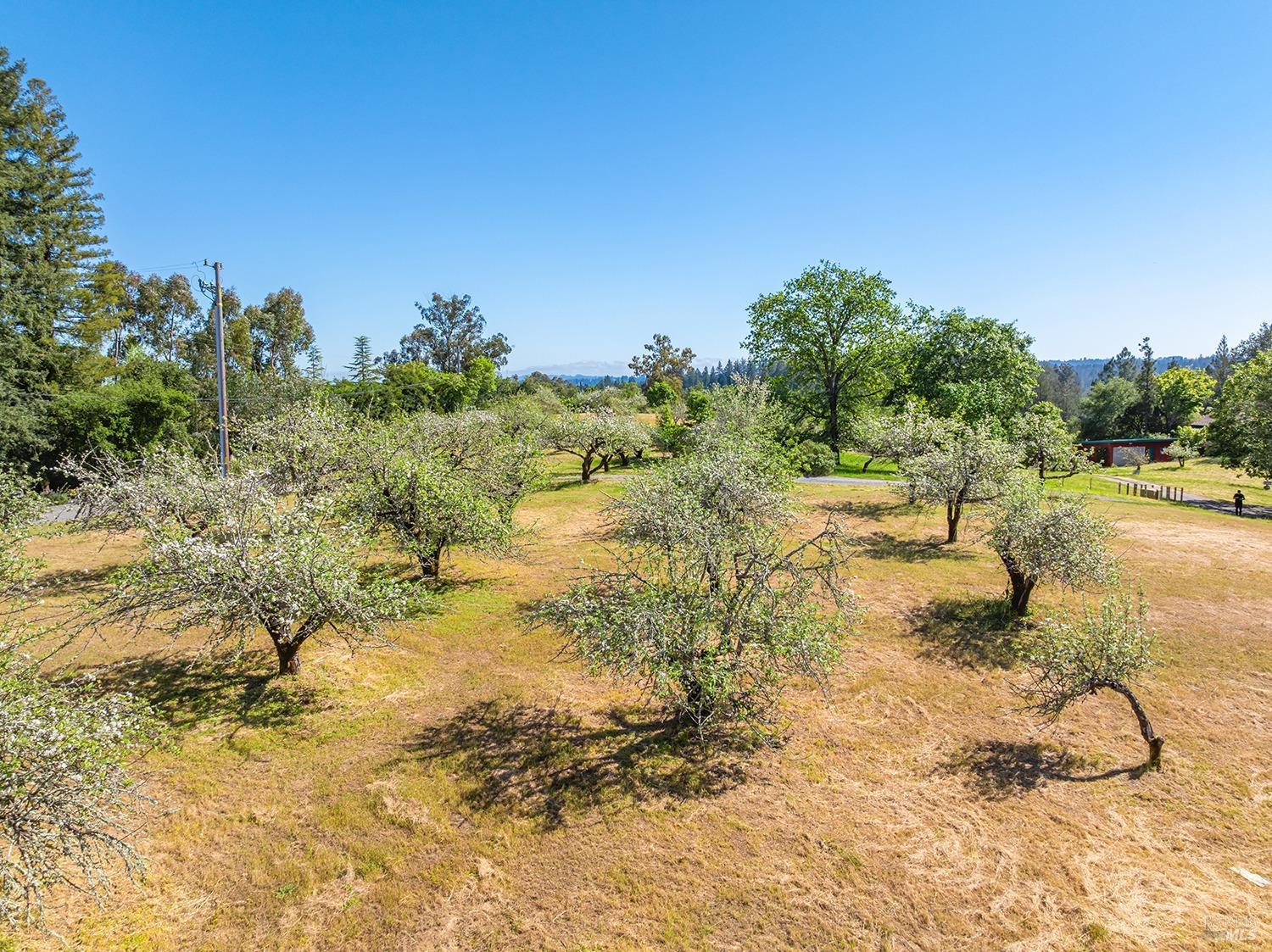 Forestville, California, 95436, United States, 4 Bedrooms Bedrooms, ,3 BathroomsBathrooms,Residential,For Sale,1796757