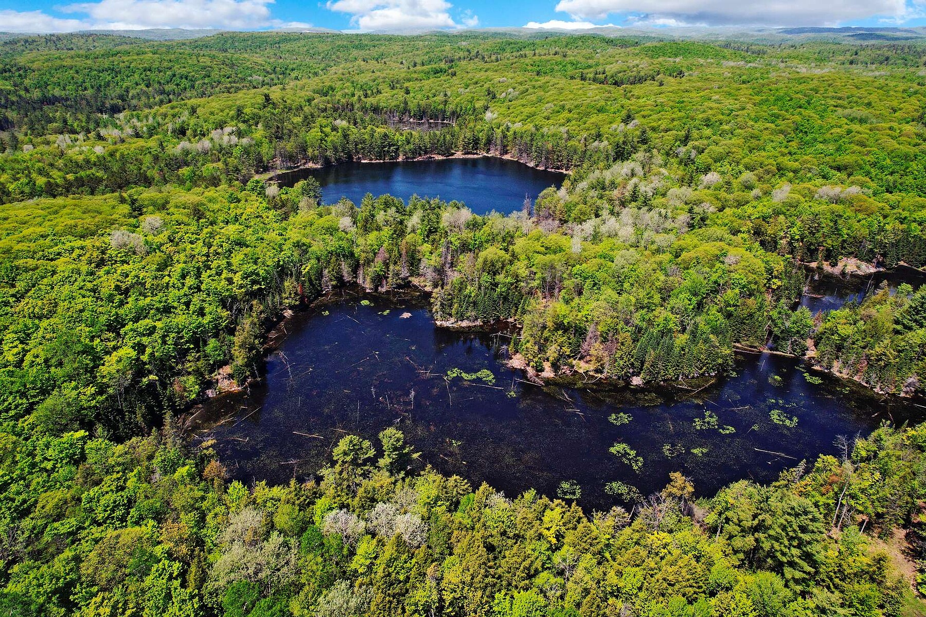  Cantley, Outaouais - 物件實景