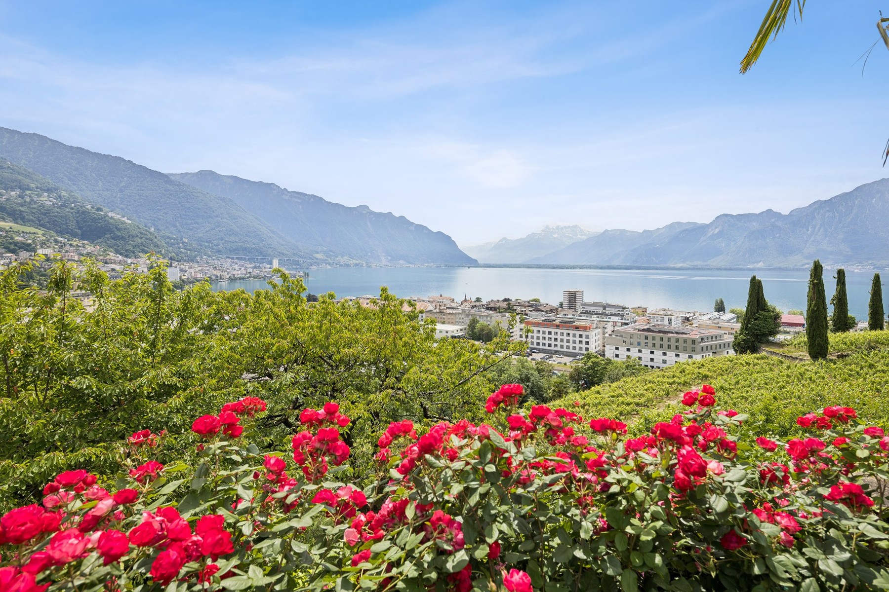  An extraordinary 18th-century residence in the municipality of Montreux - 物件實景