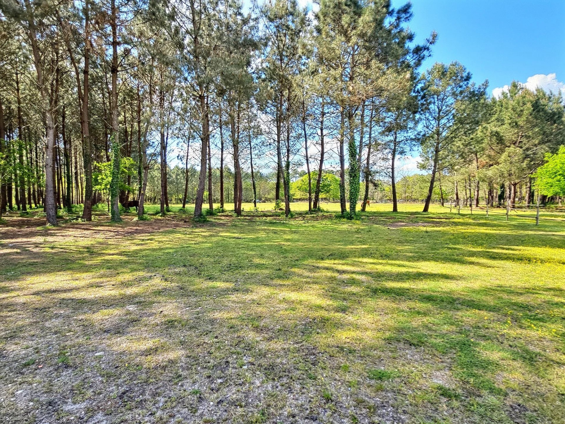 Sanguinet, New Aquitaine, 40460, FR, 5 Bedrooms Bedrooms, ,3 BathroomsBathrooms,Residential,For Sale,1793699