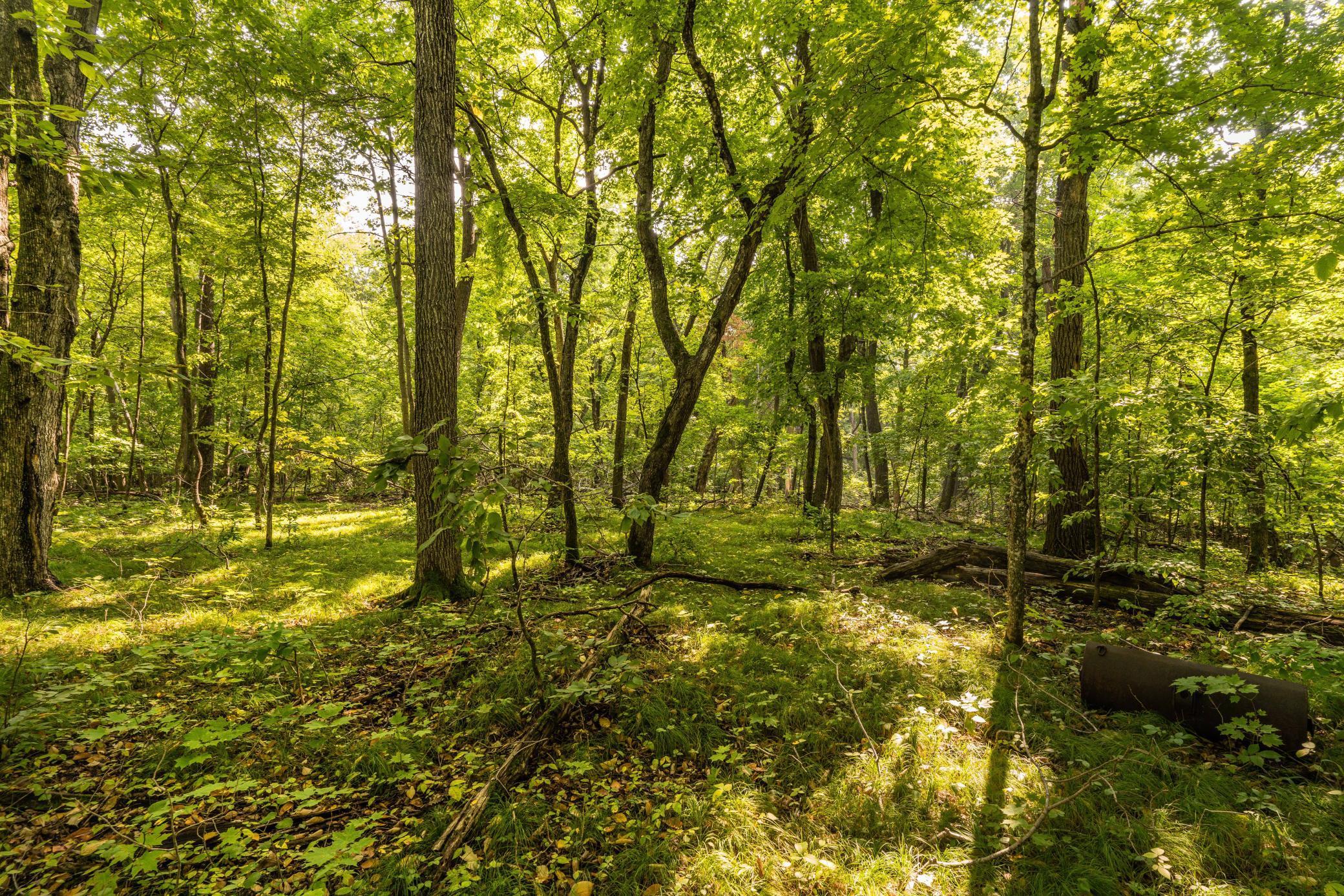 Dent, Minnesota, 56528, United States, ,Residential,For Sale,1921430
