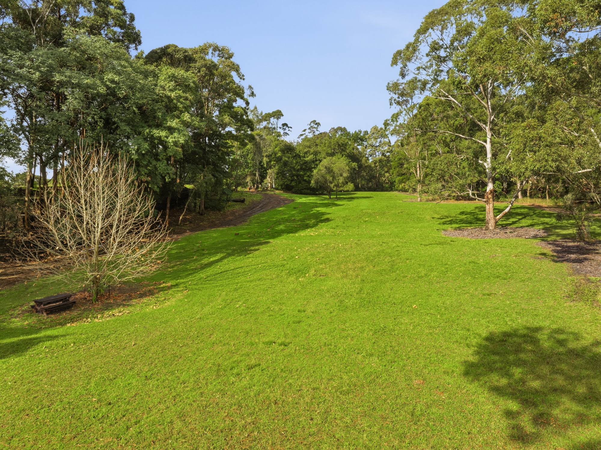  19 Myoora Road, Terrey Hills - 物件實景