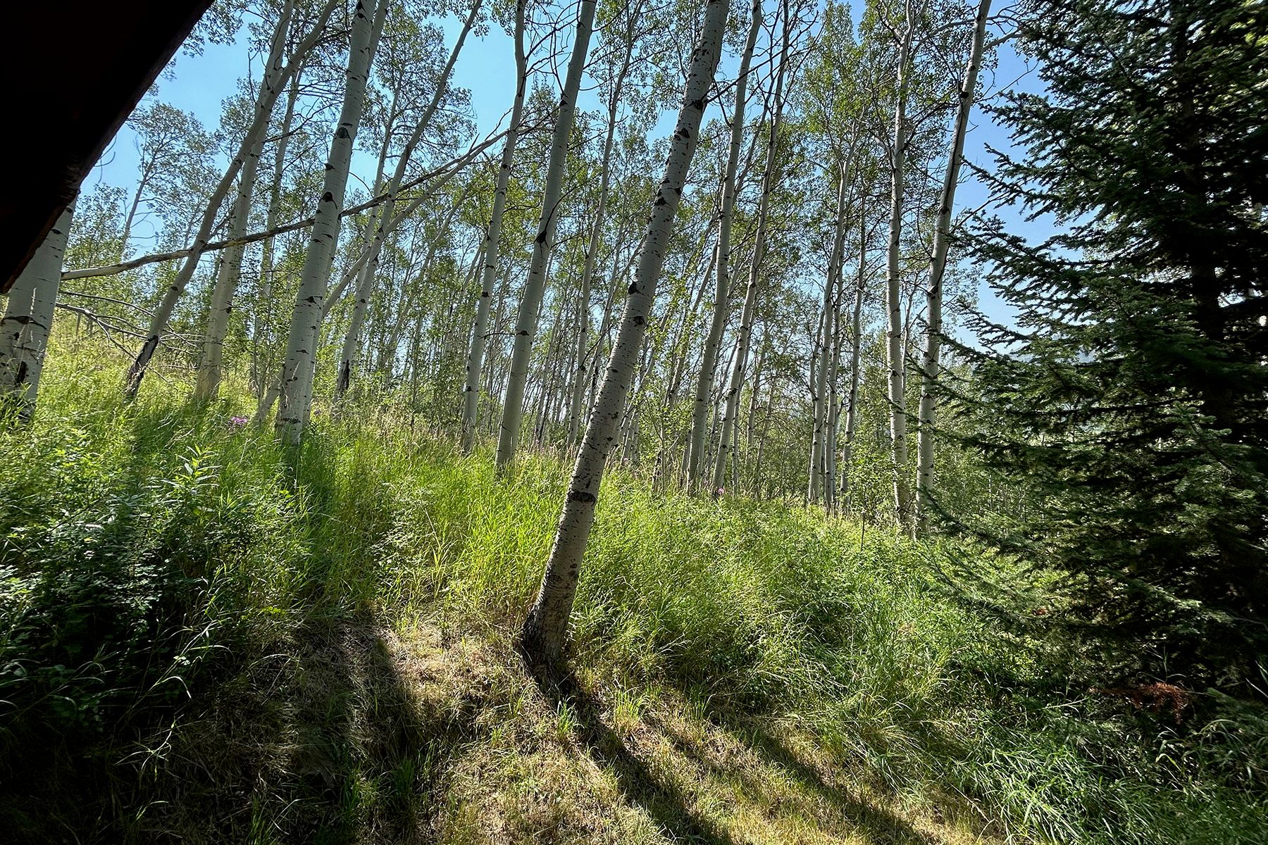  West North Fork Fall Creek Road - 物件實景