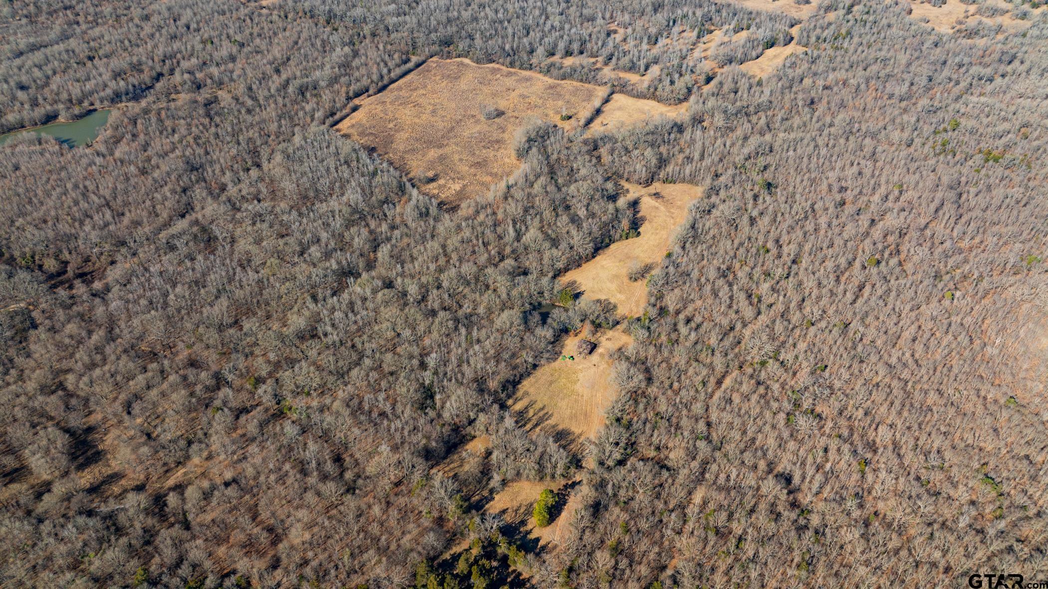 Dekalb, Texas, 75559, United States, ,Land,For Sale,1983481