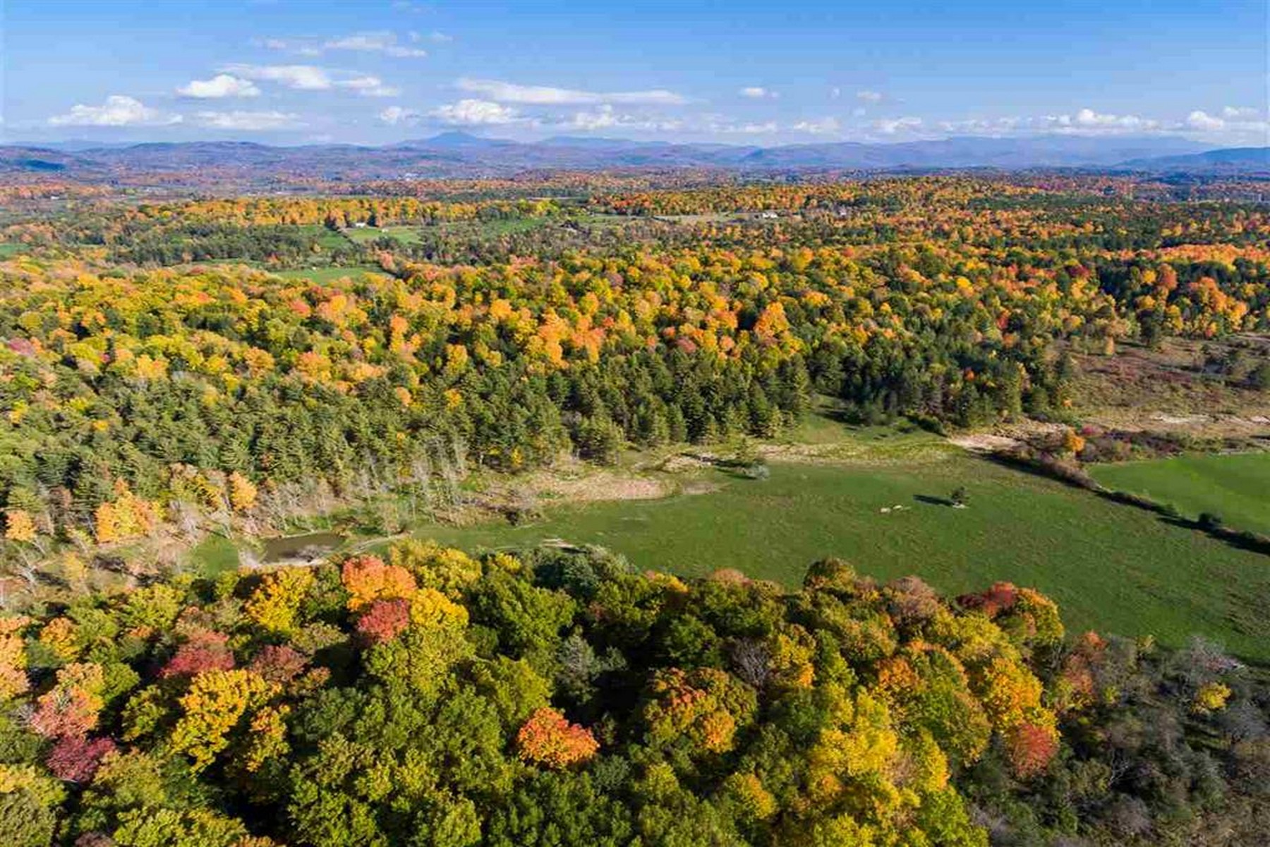  1555 Spear Street - 物件實景