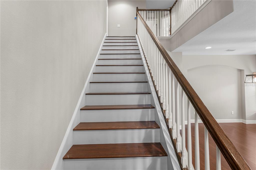 Tampa, Florida, 33647, United States, 5 Bedrooms Bedrooms, ,3 BathroomsBathrooms,Residential,For Sale,1987732