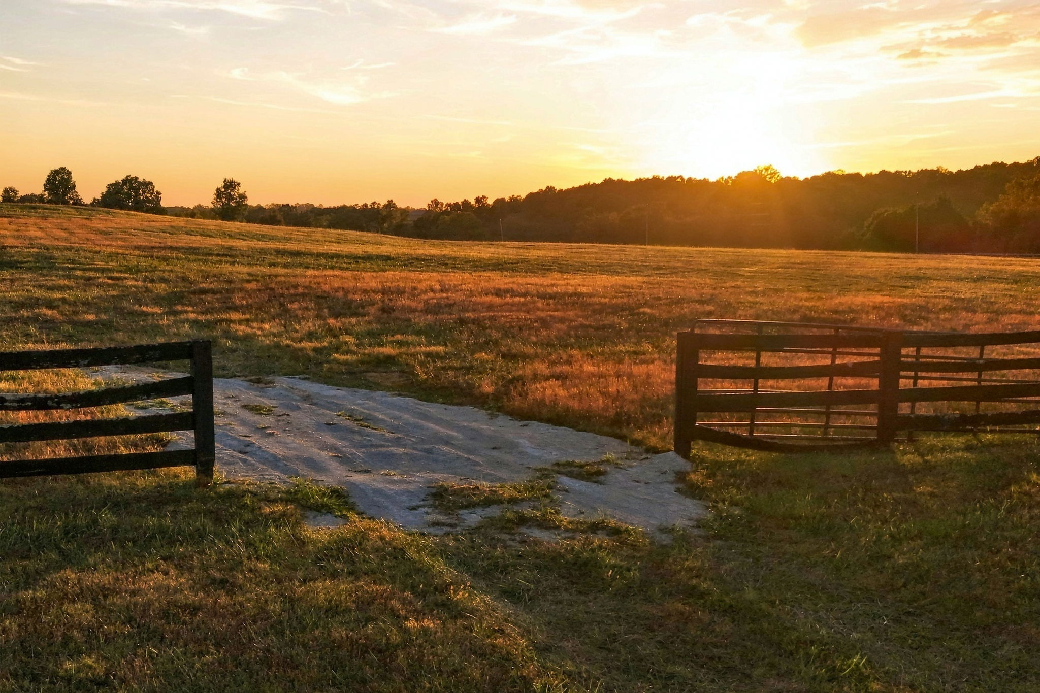  3501 Old Sligo Road, La Grange, KY 40031 - 物件實景