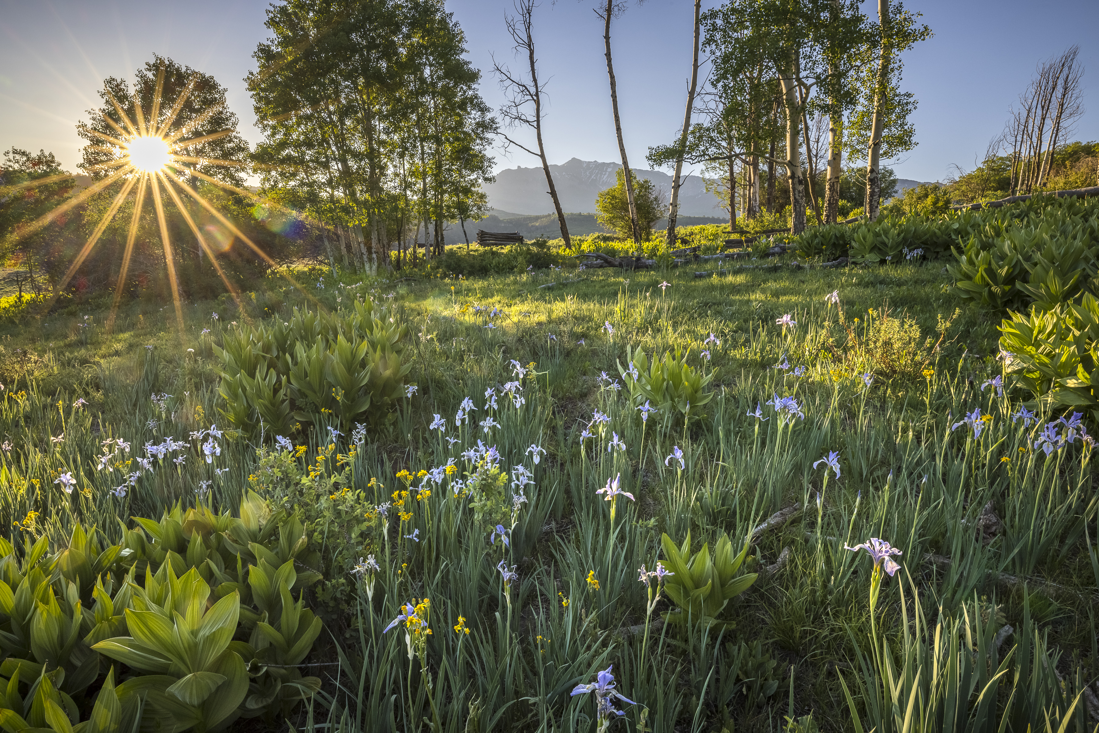  Telluride Renegade Ranch - 602 acres on Hastings Mesa - 物件實景