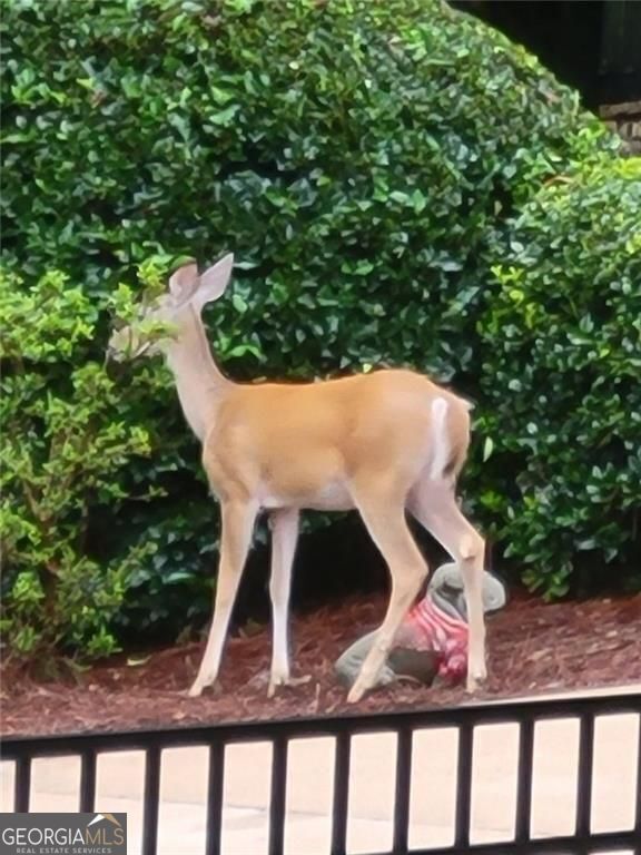 Cumming, Georgia, 30041, United States, 4 Bedrooms Bedrooms, ,4 BathroomsBathrooms,Residential,For Sale,1929935