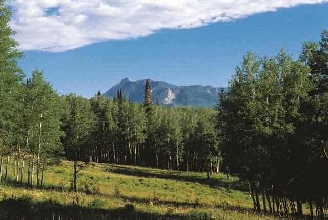 235 Lupine Dr., Crested Butte, Colorado, 81224, United States, ,Land,For Sale,235 Lupine Dr.,1431090