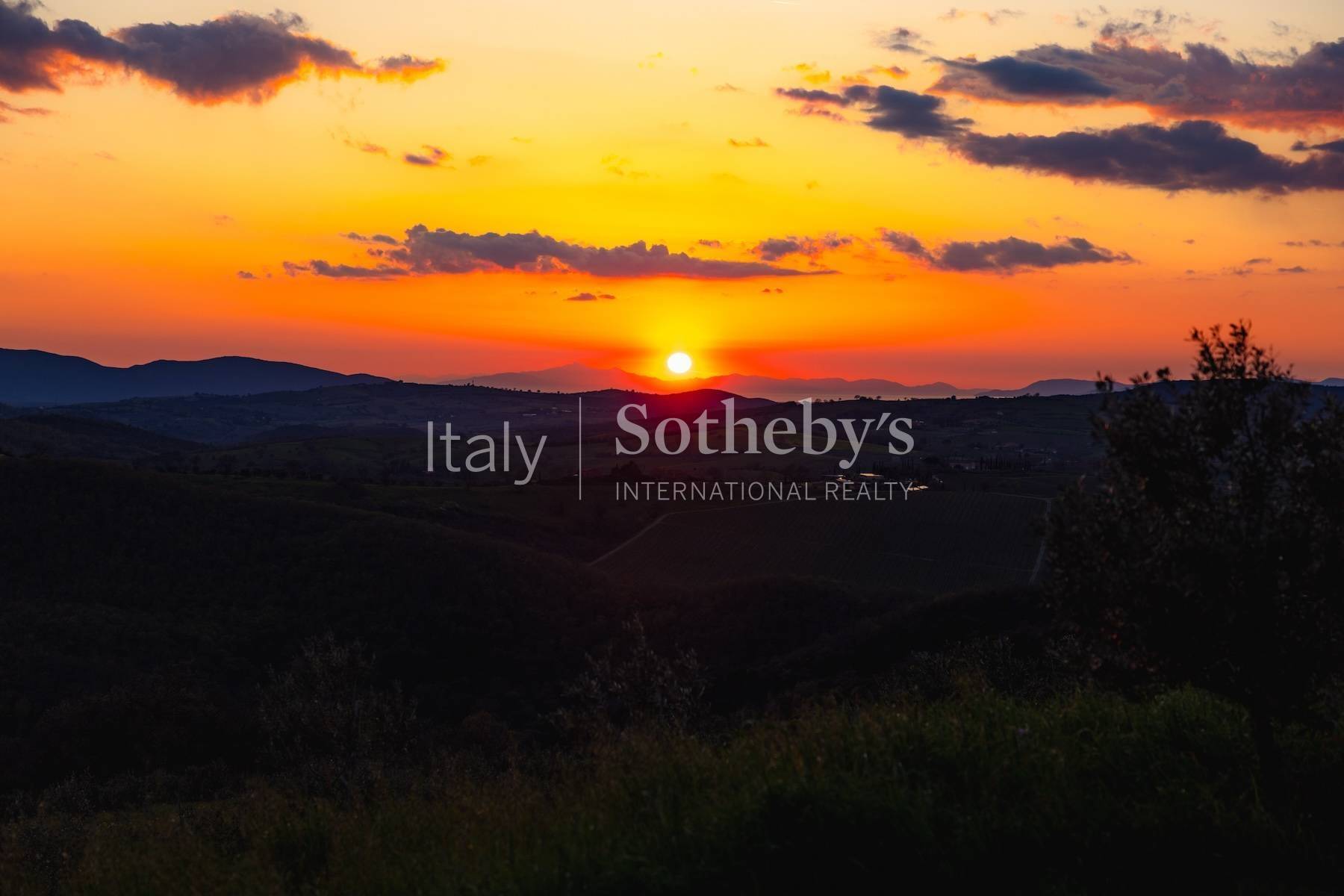  Exclusive wine estate in the Tuscan hills - 物件實景